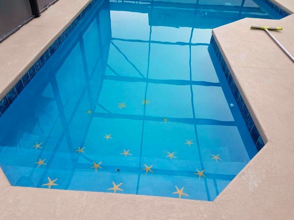 A swimming pool with starfish on the bottom of it
