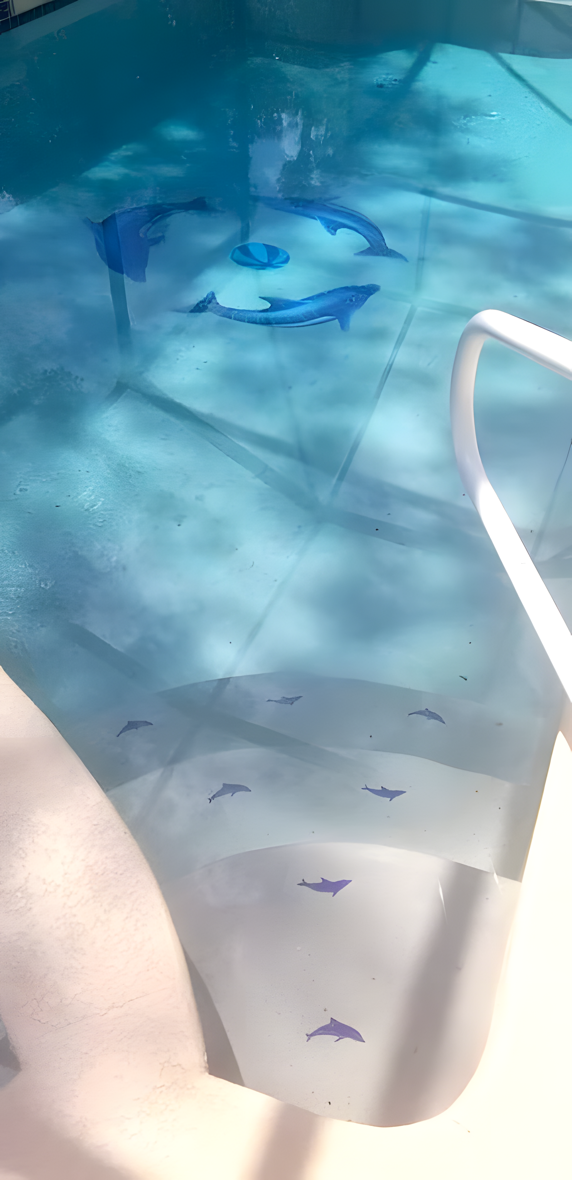 A person is sitting in a pool with dolphins painted on the floor.