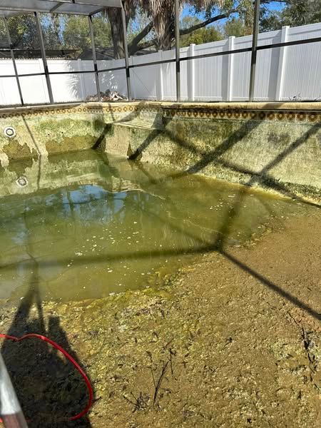 Algae-filled, dirty swimming pool needing cleaning. Surrounded by a screen enclosure and white fence.