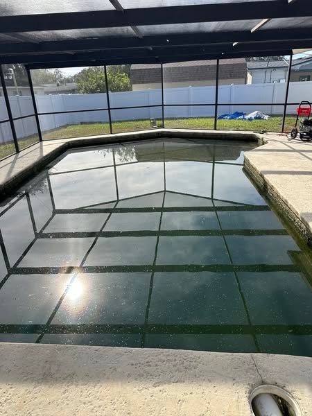 Pool enclosed in a screen with greenish water. Concrete deck and clear sky visible.