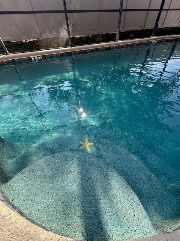 Swimming pool with a yellow starfish on the steps.