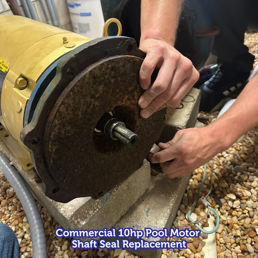 Hands replacing shaft seal on a commercial pool motor. Yellow motor, rusty disc, concrete block.