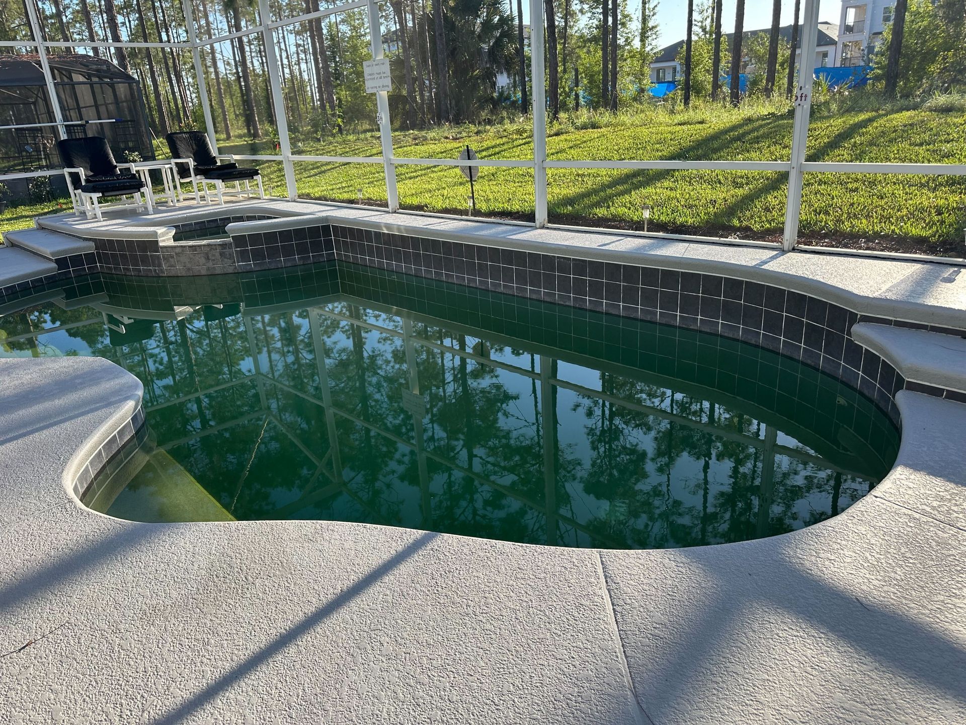 Pool with green water surrounded by a gray speckled concrete deck, fenced in a backyard.