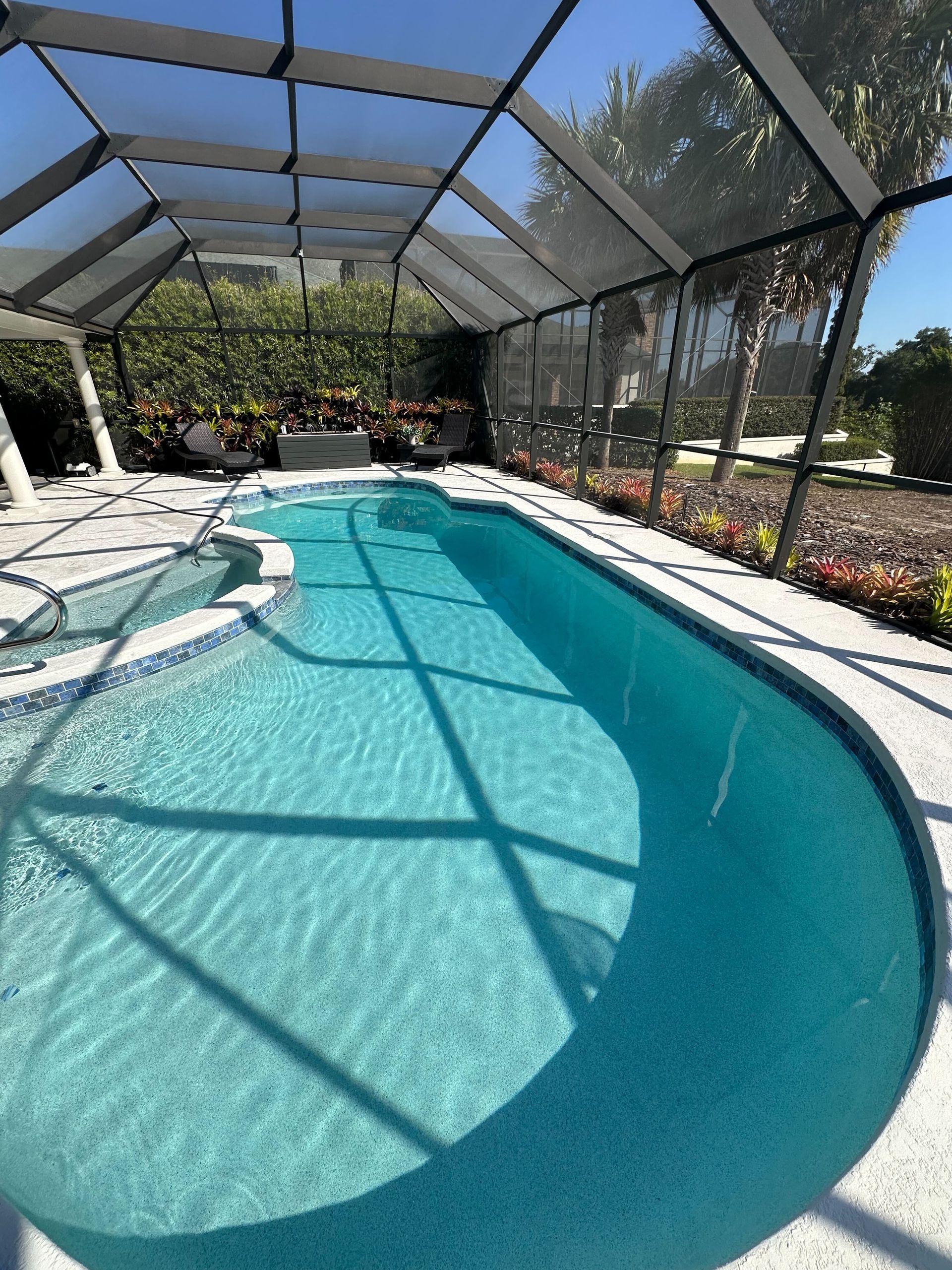 Swimming pool under a screened enclosure, surrounded by landscaping, clear blue water.
