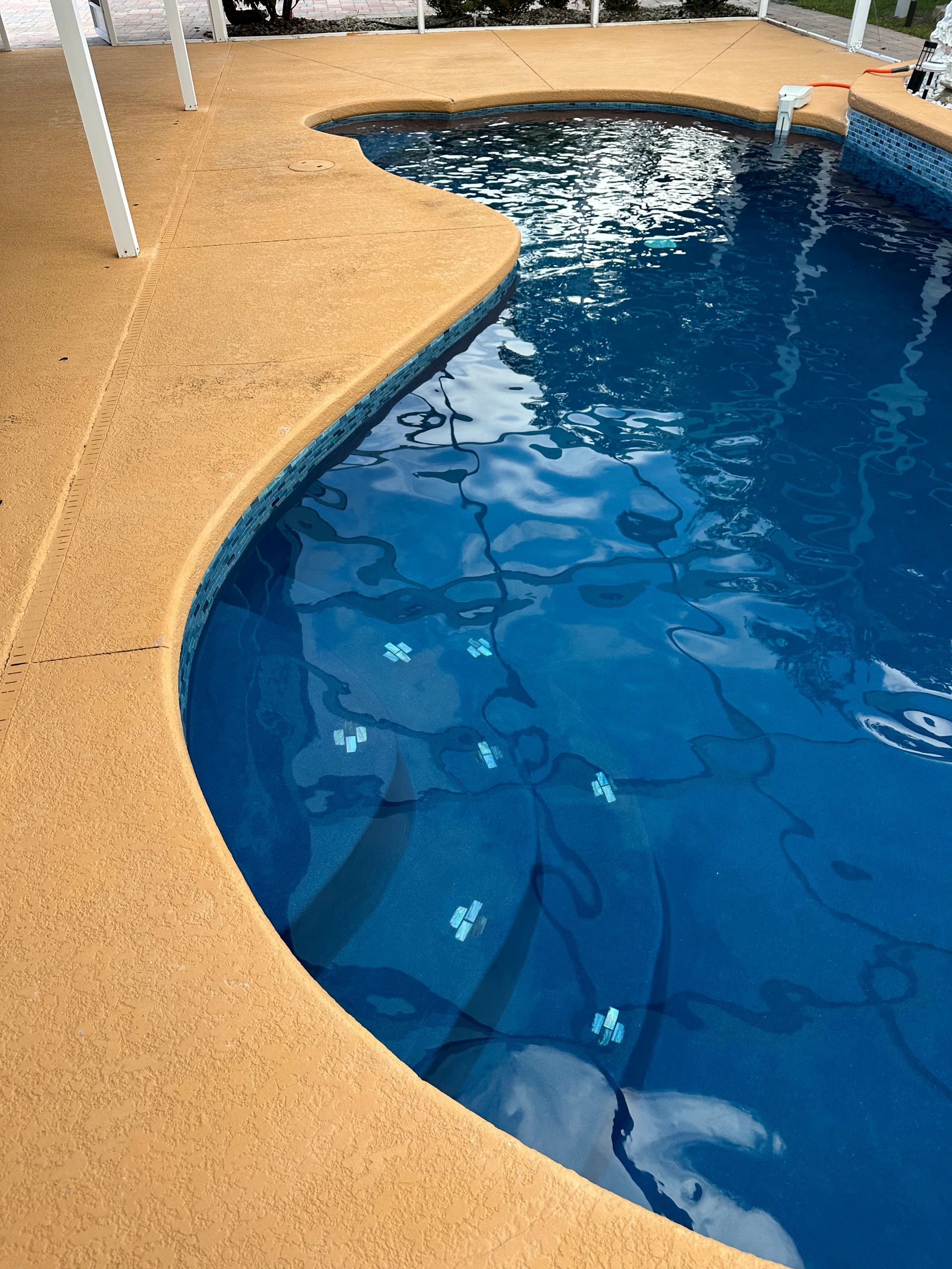 A large swimming pool with blue water and a curved edge