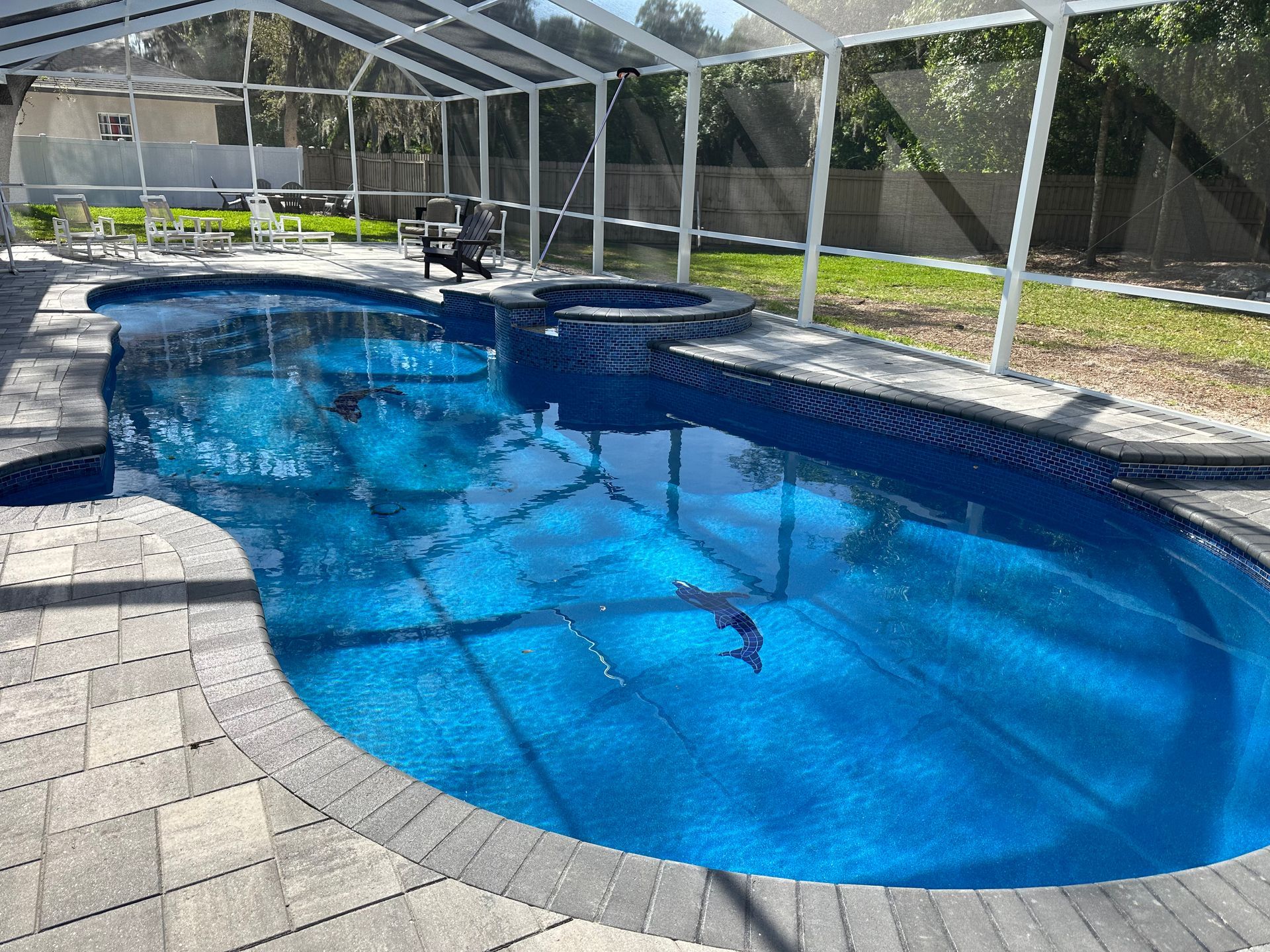 A large blue swimming pool is surrounded by a screened in area.
