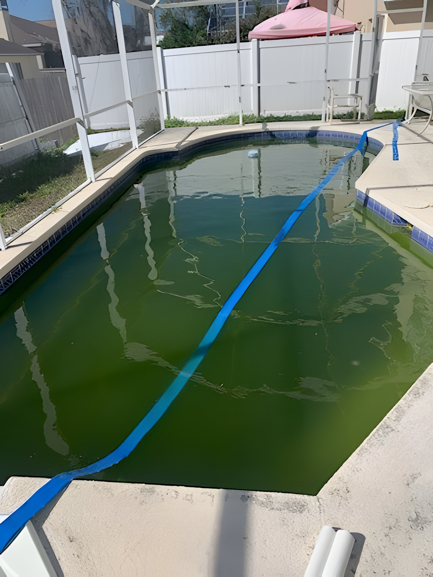 A dirty swimming pool with a blue hose coming out of it.