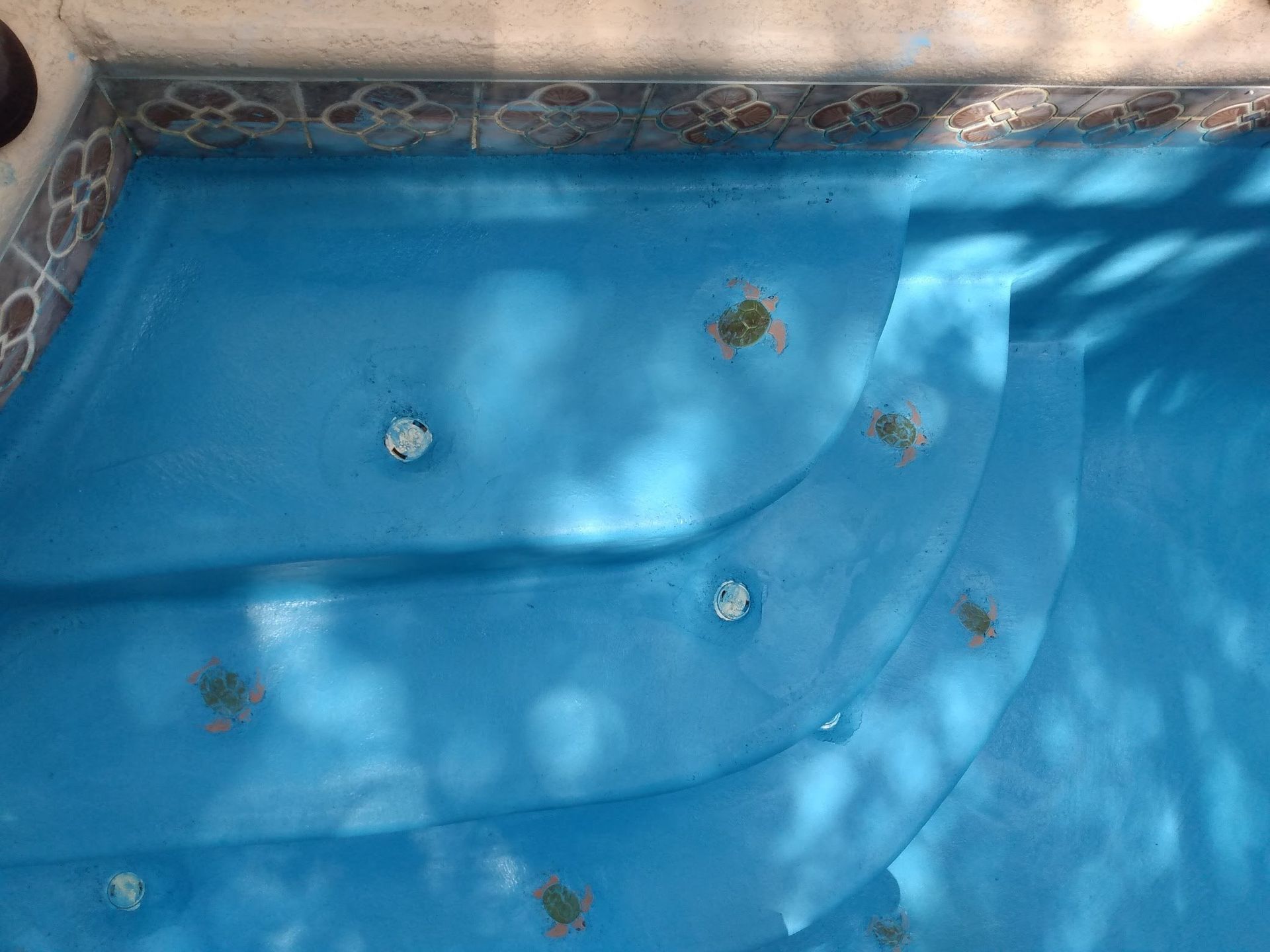 A blue swimming pool with stairs and a turtle in the water.