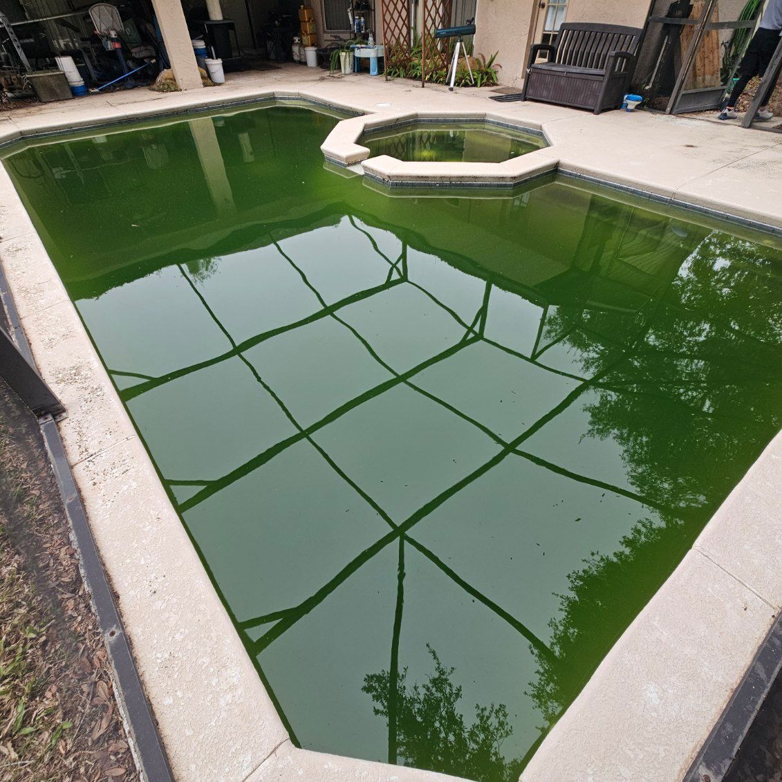 Green, algae-filled rectangular swimming pool with an attached octagonal shallow pool.