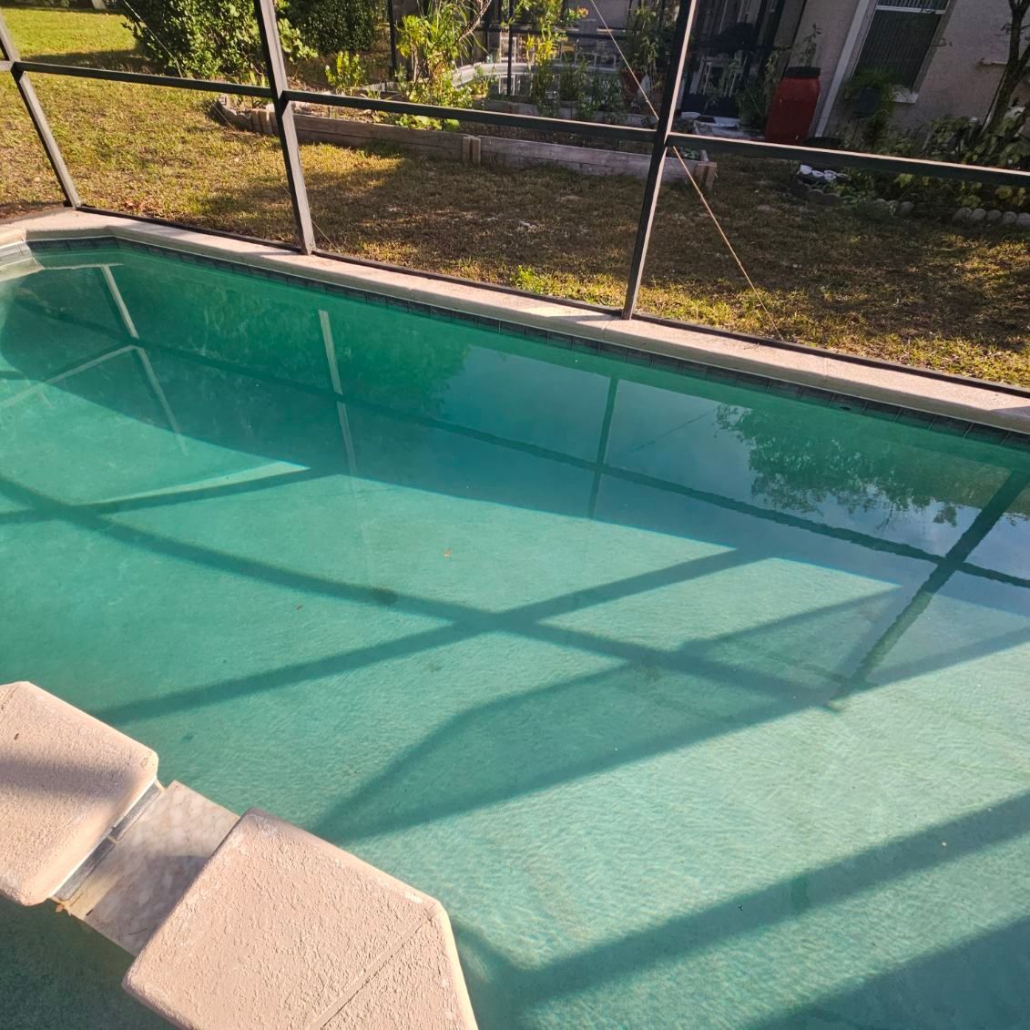 A rectangular swimming pool filled with turquoise water, with steps leading into the pool. Screen enclosure is behind the pool.