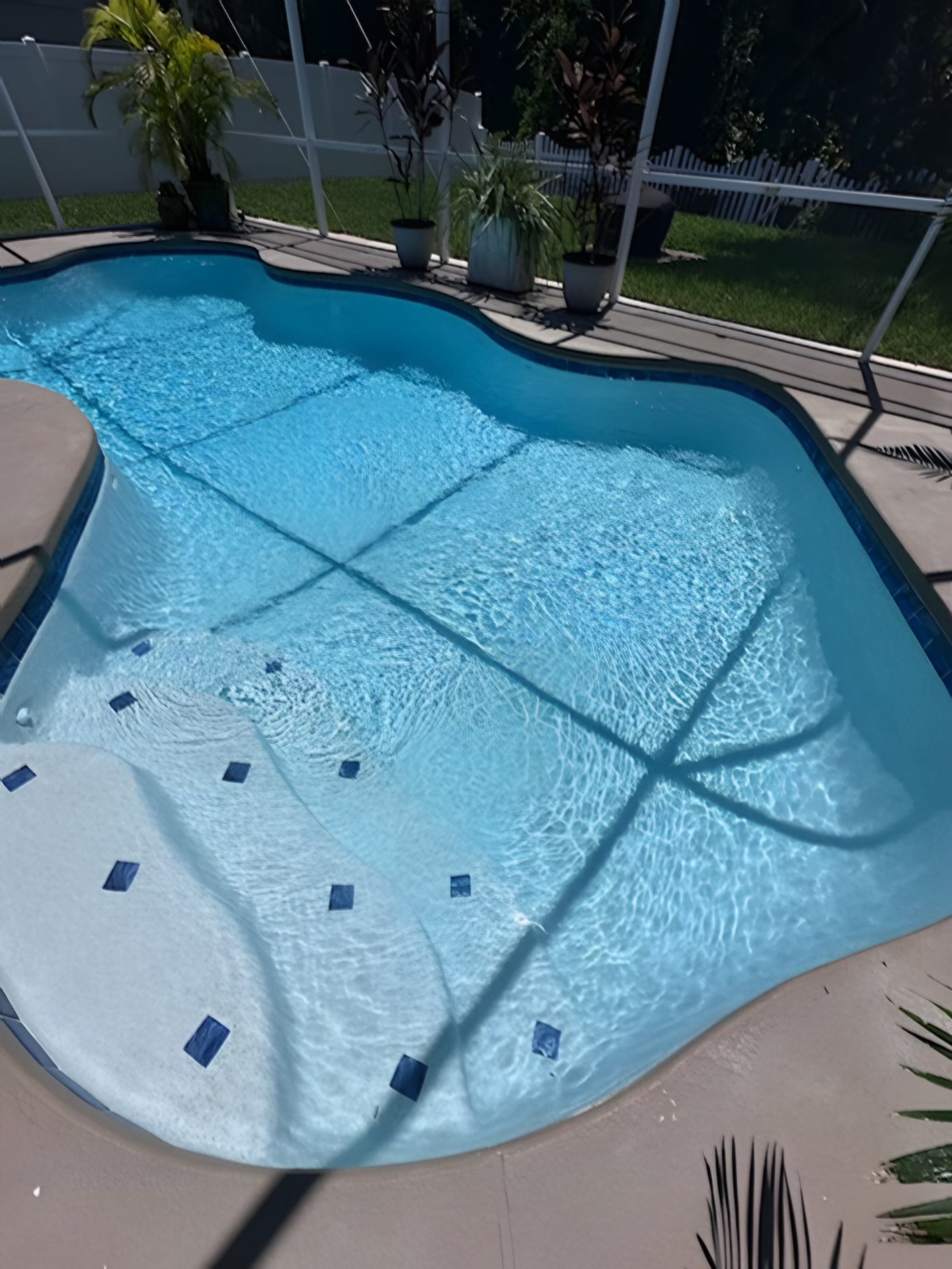 Swimming pool filled with clear blue water, surrounded by concrete deck and plants.