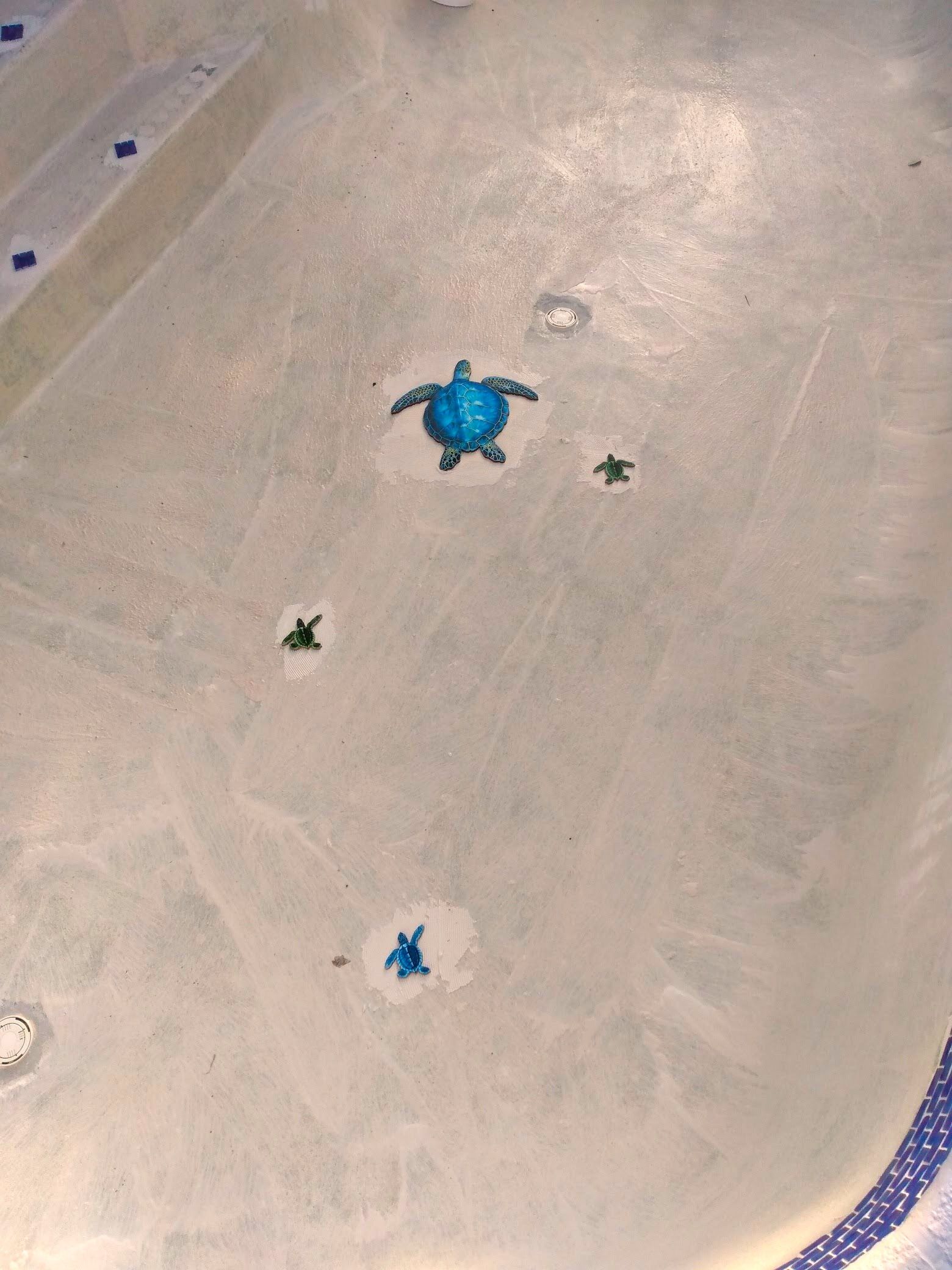 A swimming pool with sea turtles painted on the floor.