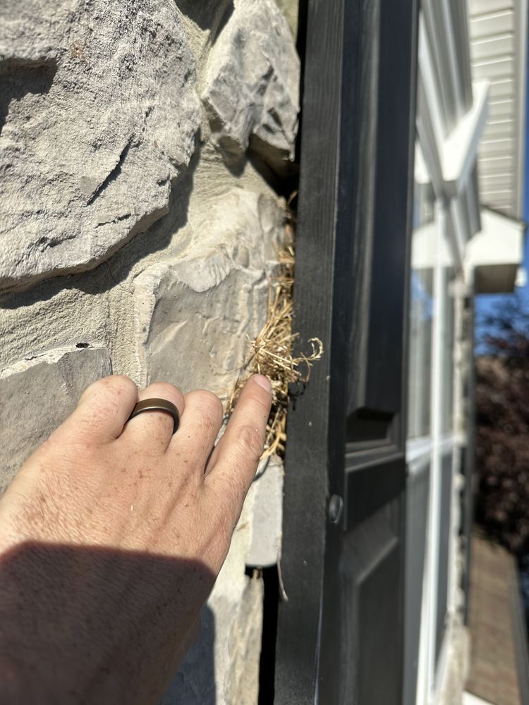 Hand checking loose exterior stone siding beside a house window and trim
