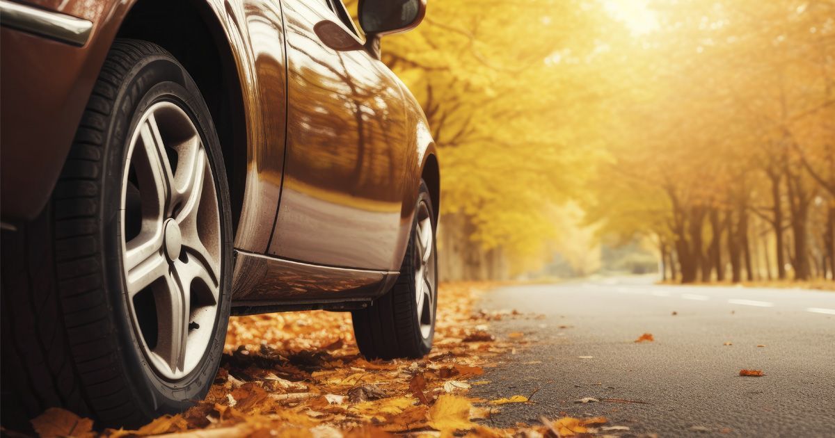 car driving on leaves
