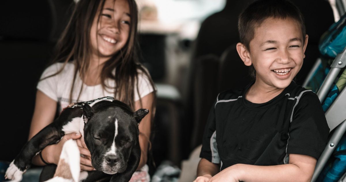 A boy and a girl are sitting in the back seat of a car holding a dog.