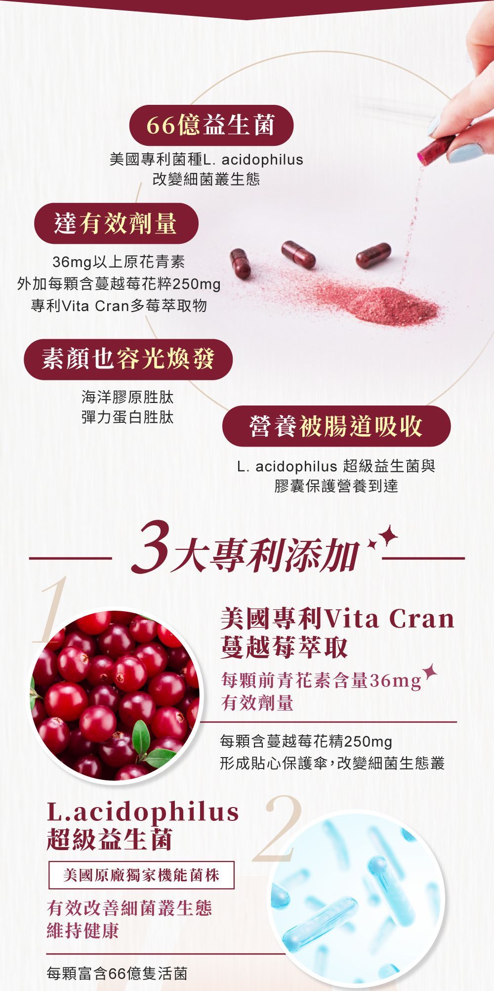 含有蔓越莓萃取物和益生菌的膳食補充劑廣告；畫面中展示了蔓越莓和膠囊。