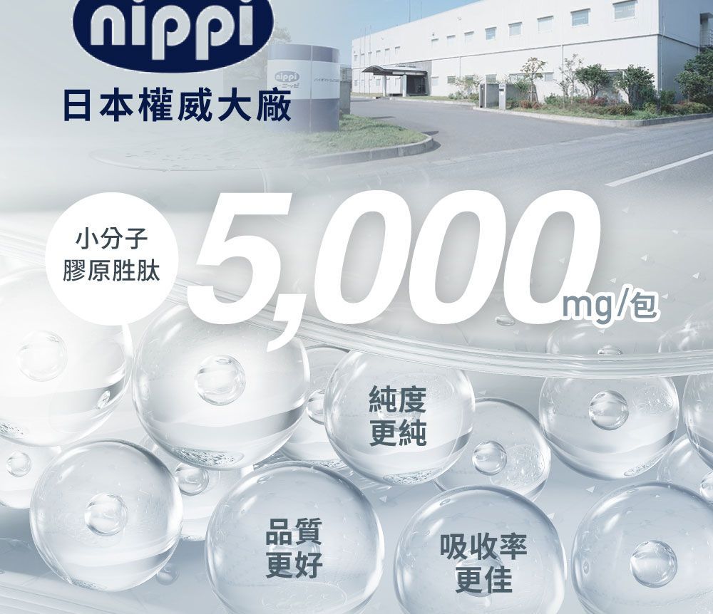 Nippi膠原蛋白廣告，產品標示「5000毫克/包」。廣告文字描述了膠原蛋白的純度、品質和吸收率。