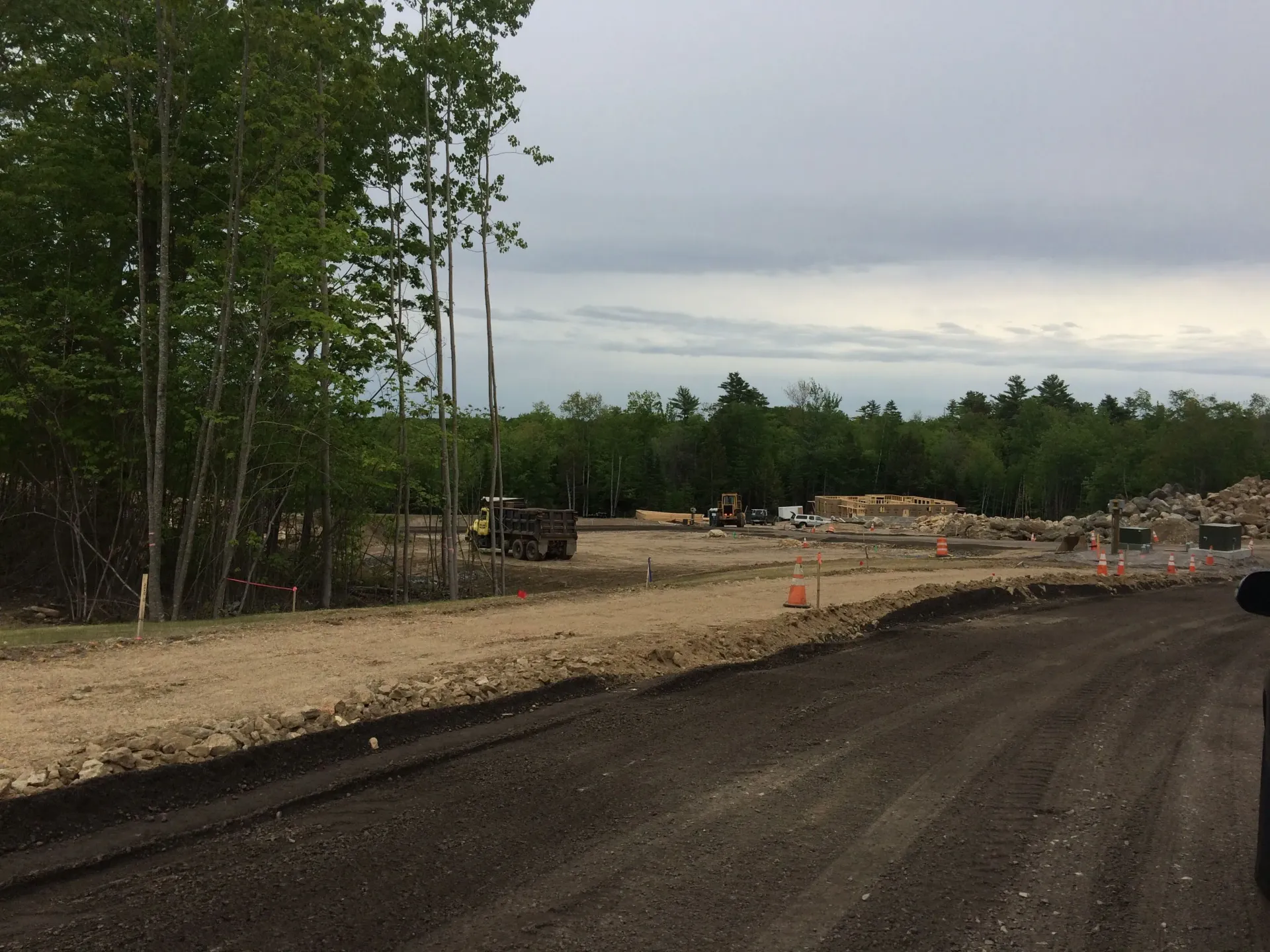 A dirt road with a lot of trees in the background