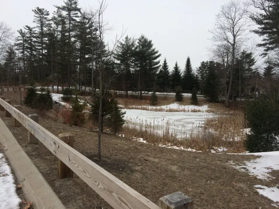 A wooden fence surrounds a pond in the middle of a forest.