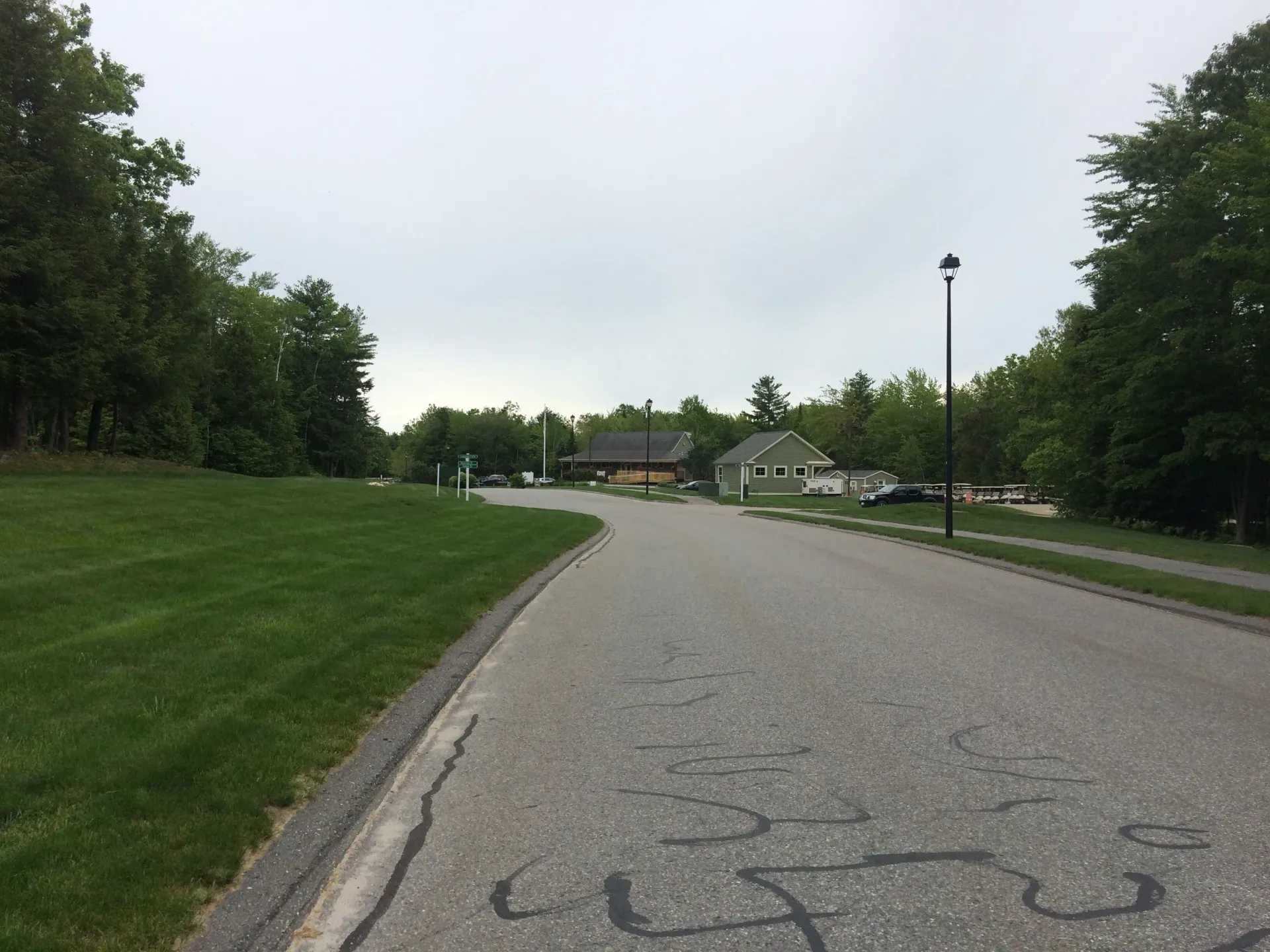 A road with a lot of grass on the side of it
