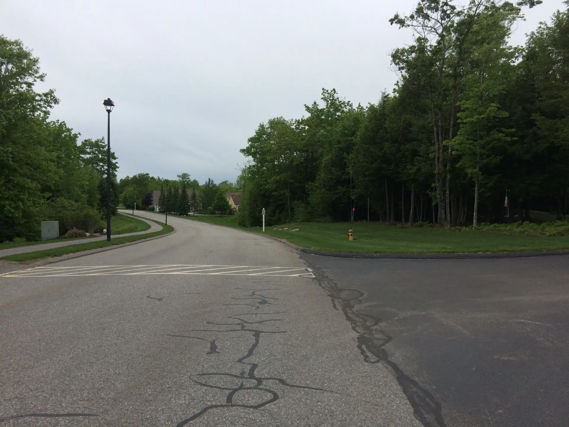 A road with a lot of trees on the side of it
