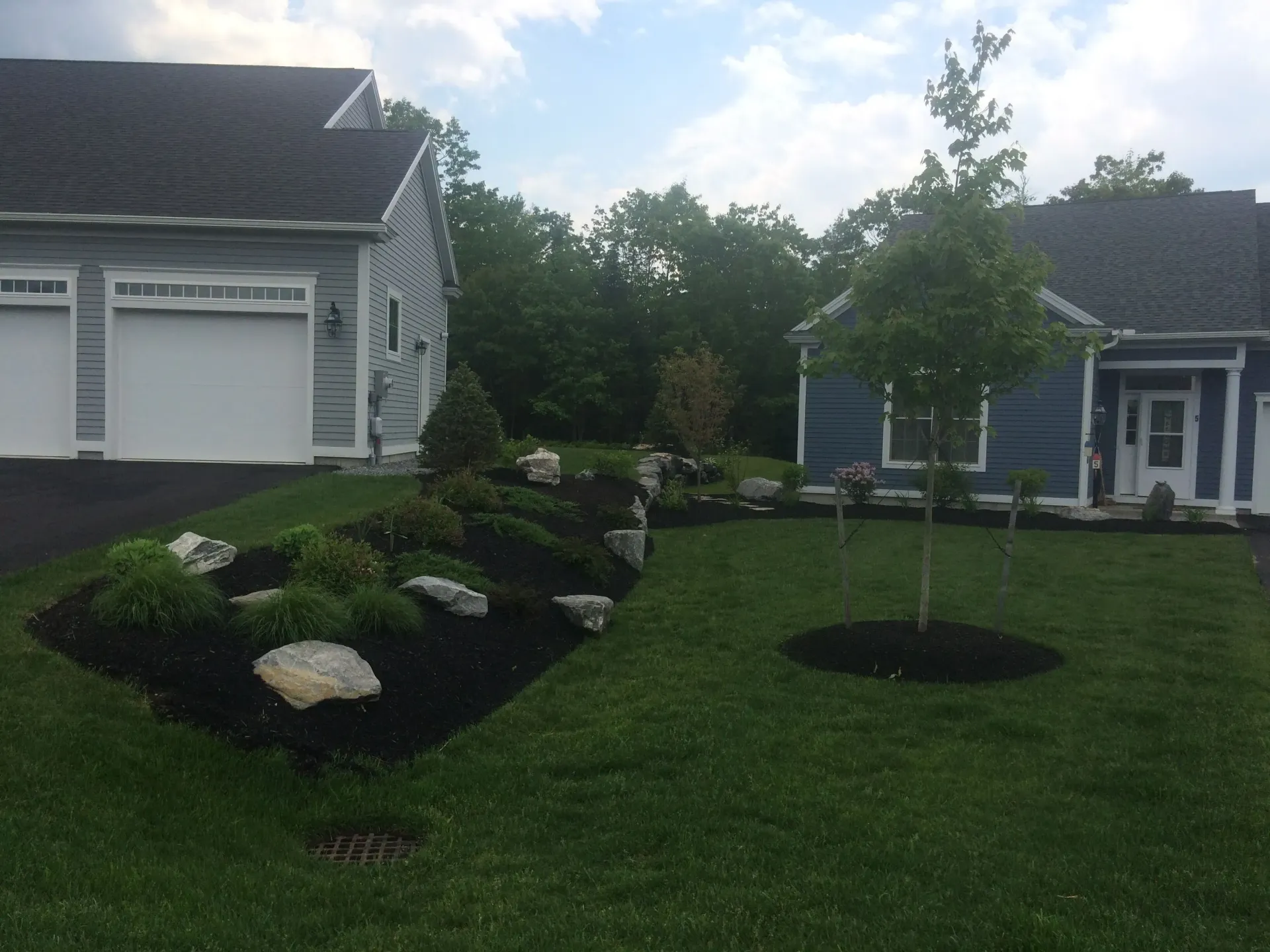 A house with a garage and a tree in front of it