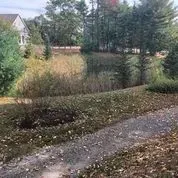A path leading to a pond surrounded by trees and bushes.