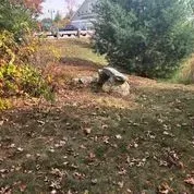 A rock in the middle of a grassy field with trees in the background.
