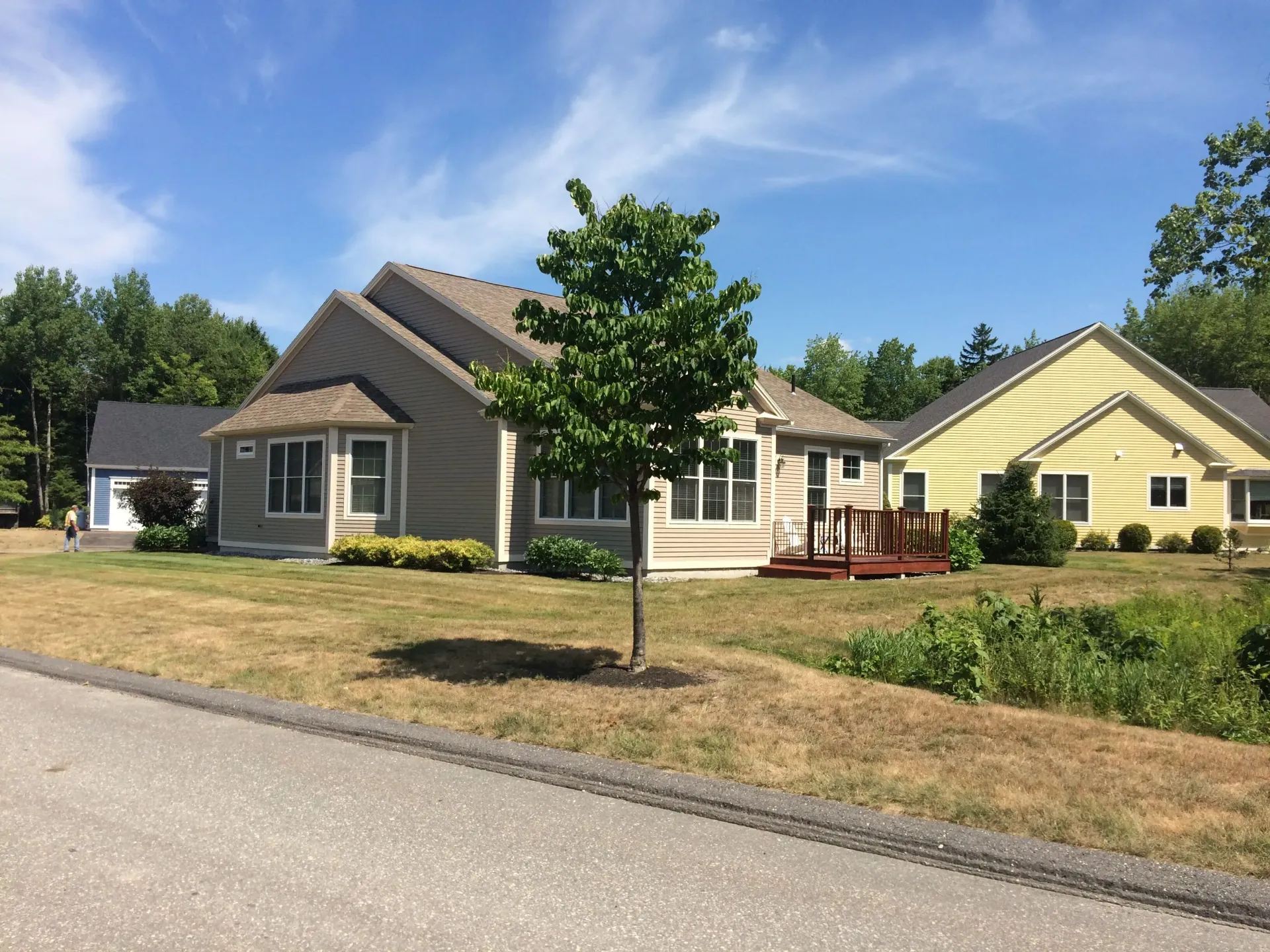 A row of houses with a tree in front of them