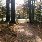 A dirt path in the middle of a forest with trees and leaves on the ground.