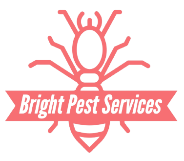 Pest control Service, Pest Control Company, Local Pest Control, Best Pest Control Service, Environmentally Friendly Pest Control, Eco-Friendly Pest Control, Pet Safe Pest Services, Kid Safe Pest Services, Emergency Pest Control, Indoor Pest Control, Integrated Pest Management, Home Pest Control Service, General Pest Inspection, Residential Pest Control, Commercial Pest Control, Hotel Pest Control, Restaurant Pest Control, Office Pest Control, Ant Extermination, Ant Pest Control, Bed Bug Extermination, Bed Bug Pest Control, Bee Extermination, Bee Pest Control, Carpet Beetle Extermination, Carpet Beetle Pest Control,Cockroach Extermination , Cockroach Pest Control, Cricket Extermination, Cricket Pest Control, Flea & Mite Extermination, Flea & Mite Pest Control, Hornet & Wasp Extermination, Hornet & wasp Pest Control, Mosquito Extermination, Mosquito Pest Control, Rodent Extermination, Rodent Pest Control, Rat Extermination, Rat pest Control, Silverfish Extermination, Silverfish Pest Control, Spider Extermination, Spider Pest Control, Termite Extermination, Termite Pest Control, Termite Moisture Control, Termite Remediation, Termite Inspection for Home Sales, Union County SC, Union SC, Jonesville SC, Spartanburg County SC, Spartanburg SC, Converse Heights Spartanburg SC, Greer SC, Greenville County, Greenville SC, Fountain Inn SC, Simpsonville SC, Pickens County SC, Easley SC, Cherokee County SC, Gaffney SC, East Gaffney SC, Greenwood County, Greenwood SC, Anderson County SC, Anderson SC