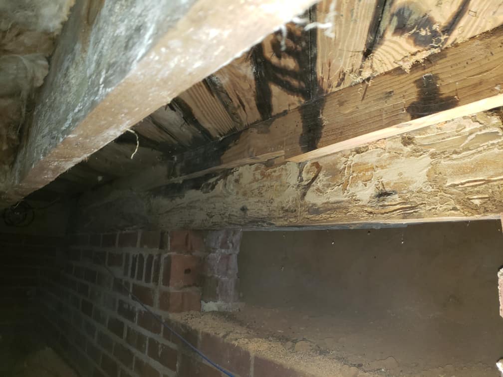 Pest control Service, Pest Control Company, Local Pest Control, Best Pest Control Service, Environmentally Friendly Pest Control, Eco-Friendly Pest Control, Pet Safe Pest Services, Kid Safe Pest Services, Emergency Pest Control, Indoor Pest Control, Integrated Pest Management, Home Pest Control Service, General Pest Inspection, Residential Pest Control, Commercial Pest Control, Hotel Pest Control, Restaurant Pest Control, Office Pest Control, Ant Extermination, Ant Pest Control, Bed Bug Extermination, Bed Bug Pest Control, Bee Extermination, Bee Pest Control, Carpet Beetle Extermination, Carpet Beetle Pest Control,Cockroach Extermination , Cockroach Pest Control, Cricket Extermination, Cricket Pest Control, Flea & Mite Extermination, Flea & Mite Pest Control, Hornet & Wasp Extermination, Hornet & wasp Pest Control, Mosquito Extermination, Mosquito Pest Control, Rodent Extermination, Rodent Pest Control, Rat Extermination, Rat pest Control, Silverfish Extermination, Silverfish Pest Control, Spider Extermination, Spider Pest Control, Termite Extermination, Termite Pest Control, Termite Moisture Control, Termite Remediation, Termite Inspection for Home Sales, Union County SC, Union SC, Jonesville SC, Spartanburg County SC, Spartanburg SC, Converse Heights Spartanburg SC, Greer SC, Greenville County, Greenville SC, Fountain Inn SC, Simpsonville SC, Pickens County SC, Easley SC, Cherokee County SC, Gaffney SC, East Gaffney SC, Greenwood County, Greenwood SC, Anderson County SC, Anderson SC