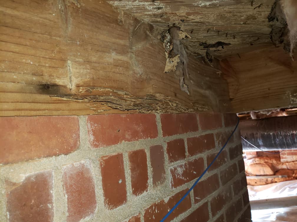 Pest control Service, Pest Control Company, Local Pest Control, Best Pest Control Service, Environmentally Friendly Pest Control, Eco-Friendly Pest Control, Pet Safe Pest Services, Kid Safe Pest Services, Emergency Pest Control, Indoor Pest Control, Integrated Pest Management, Home Pest Control Service, General Pest Inspection, Residential Pest Control, Commercial Pest Control, Hotel Pest Control, Restaurant Pest Control, Office Pest Control, Ant Extermination, Ant Pest Control, Bed Bug Extermination, Bed Bug Pest Control, Bee Extermination, Bee Pest Control, Carpet Beetle Extermination, Carpet Beetle Pest Control,Cockroach Extermination , Cockroach Pest Control, Cricket Extermination, Cricket Pest Control, Flea & Mite Extermination, Flea & Mite Pest Control, Hornet & Wasp Extermination, Hornet & wasp Pest Control, Mosquito Extermination, Mosquito Pest Control, Rodent Extermination, Rodent Pest Control, Rat Extermination, Rat pest Control, Silverfish Extermination, Silverfish Pest Control, Spider Extermination, Spider Pest Control, Termite Extermination, Termite Pest Control, Termite Moisture Control, Termite Remediation, Termite Inspection for Home Sales, Union County SC, Union SC, Jonesville SC, Spartanburg County SC, Spartanburg SC, Converse Heights Spartanburg SC, Greer SC, Greenville County, Greenville SC, Fountain Inn SC, Simpsonville SC, Pickens County SC, Easley SC, Cherokee County SC, Gaffney SC, East Gaffney SC, Greenwood County, Greenwood SC, Anderson County SC, Anderson SC