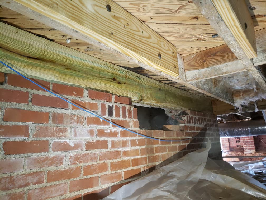 Pest control Service, Pest Control Company, Local Pest Control, Best Pest Control Service, Environmentally Friendly Pest Control, Eco-Friendly Pest Control, Pet Safe Pest Services, Kid Safe Pest Services, Emergency Pest Control, Indoor Pest Control, Integrated Pest Management, Home Pest Control Service, General Pest Inspection, Residential Pest Control, Commercial Pest Control, Hotel Pest Control, Restaurant Pest Control, Office Pest Control, Ant Extermination, Ant Pest Control, Bed Bug Extermination, Bed Bug Pest Control, Bee Extermination, Bee Pest Control, Carpet Beetle Extermination, Carpet Beetle Pest Control,Cockroach Extermination , Cockroach Pest Control, Cricket Extermination, Cricket Pest Control, Flea & Mite Extermination, Flea & Mite Pest Control, Hornet & Wasp Extermination, Hornet & wasp Pest Control, Mosquito Extermination, Mosquito Pest Control, Rodent Extermination, Rodent Pest Control, Rat Extermination, Rat pest Control, Silverfish Extermination, Silverfish Pest Control, Spider Extermination, Spider Pest Control, Termite Extermination, Termite Pest Control, Termite Moisture Control, Termite Remediation, Termite Inspection for Home Sales, Union County SC, Union SC, Jonesville SC, Spartanburg County SC, Spartanburg SC, Converse Heights Spartanburg SC, Greer SC, Greenville County, Greenville SC, Fountain Inn SC, Simpsonville SC, Pickens County SC, Easley SC, Cherokee County SC, Gaffney SC, East Gaffney SC, Greenwood County, Greenwood SC, Anderson County SC, Anderson SC