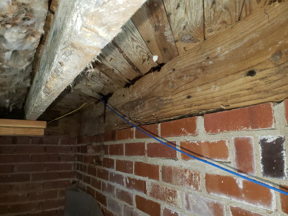 Pest control Service, Pest Control Company, Local Pest Control, Best Pest Control Service, Environmentally Friendly Pest Control, Eco-Friendly Pest Control, Pet Safe Pest Services, Kid Safe Pest Services, Emergency Pest Control, Indoor Pest Control, Integrated Pest Management, Home Pest Control Service, General Pest Inspection, Residential Pest Control, Commercial Pest Control, Hotel Pest Control, Restaurant Pest Control, Office Pest Control, Ant Extermination, Ant Pest Control, Bed Bug Extermination, Bed Bug Pest Control, Bee Extermination, Bee Pest Control, Carpet Beetle Extermination, Carpet Beetle Pest Control,Cockroach Extermination , Cockroach Pest Control, Cricket Extermination, Cricket Pest Control, Flea & Mite Extermination, Flea & Mite Pest Control, Hornet & Wasp Extermination, Hornet & wasp Pest Control, Mosquito Extermination, Mosquito Pest Control, Rodent Extermination, Rodent Pest Control, Rat Extermination, Rat pest Control, Silverfish Extermination, Silverfish Pest Control, Spider Extermination, Spider Pest Control, Termite Extermination, Termite Pest Control, Termite Moisture Control, Termite Remediation, Termite Inspection for Home Sales, Union County SC, Union SC, Jonesville SC, Spartanburg County SC, Spartanburg SC, Converse Heights Spartanburg SC, Greer SC, Greenville County, Greenville SC, Fountain Inn SC, Simpsonville SC, Pickens County SC, Easley SC, Cherokee County SC, Gaffney SC, East Gaffney SC, Greenwood County, Greenwood SC, Anderson County SC, Anderson SC