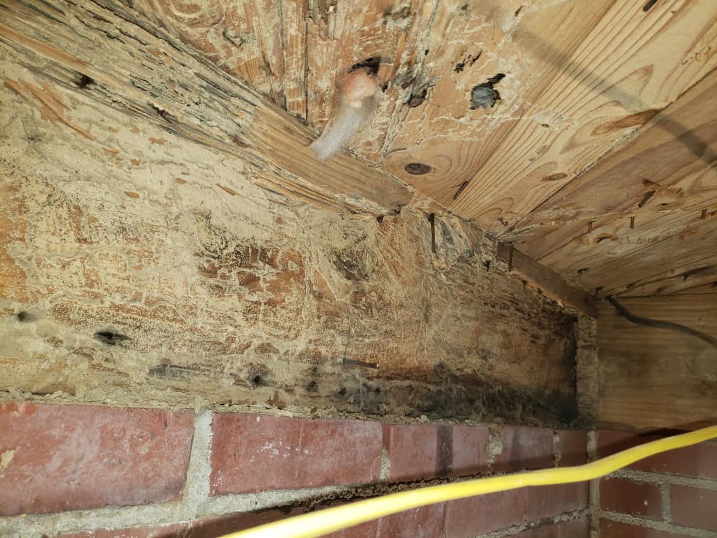 Pest control Service, Pest Control Company, Local Pest Control, Best Pest Control Service, Environmentally Friendly Pest Control, Eco-Friendly Pest Control, Pet Safe Pest Services, Kid Safe Pest Services, Emergency Pest Control, Indoor Pest Control, Integrated Pest Management, Home Pest Control Service, General Pest Inspection, Residential Pest Control, Commercial Pest Control, Hotel Pest Control, Restaurant Pest Control, Office Pest Control, Ant Extermination, Ant Pest Control, Bed Bug Extermination, Bed Bug Pest Control, Bee Extermination, Bee Pest Control, Carpet Beetle Extermination, Carpet Beetle Pest Control,Cockroach Extermination , Cockroach Pest Control, Cricket Extermination, Cricket Pest Control, Flea & Mite Extermination, Flea & Mite Pest Control, Hornet & Wasp Extermination, Hornet & wasp Pest Control, Mosquito Extermination, Mosquito Pest Control, Rodent Extermination, Rodent Pest Control, Rat Extermination, Rat pest Control, Silverfish Extermination, Silverfish Pest Control, Spider Extermination, Spider Pest Control, Termite Extermination, Termite Pest Control, Termite Moisture Control, Termite Remediation, Termite Inspection for Home Sales, Union County SC, Union SC, Jonesville SC, Spartanburg County SC, Spartanburg SC, Converse Heights Spartanburg SC, Greer SC, Greenville County, Greenville SC, Fountain Inn SC, Simpsonville SC, Pickens County SC, Easley SC, Cherokee County SC, Gaffney SC, East Gaffney SC, Greenwood County, Greenwood SC, Anderson County SC, Anderson SC