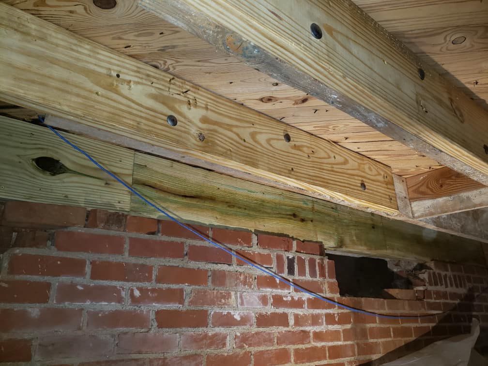 Pest control Service, Pest Control Company, Local Pest Control, Best Pest Control Service, Environmentally Friendly Pest Control, Eco-Friendly Pest Control, Pet Safe Pest Services, Kid Safe Pest Services, Emergency Pest Control, Indoor Pest Control, Integrated Pest Management, Home Pest Control Service, General Pest Inspection, Residential Pest Control, Commercial Pest Control, Hotel Pest Control, Restaurant Pest Control, Office Pest Control, Ant Extermination, Ant Pest Control, Bed Bug Extermination, Bed Bug Pest Control, Bee Extermination, Bee Pest Control, Carpet Beetle Extermination, Carpet Beetle Pest Control,Cockroach Extermination , Cockroach Pest Control, Cricket Extermination, Cricket Pest Control, Flea & Mite Extermination, Flea & Mite Pest Control, Hornet & Wasp Extermination, Hornet & wasp Pest Control, Mosquito Extermination, Mosquito Pest Control, Rodent Extermination, Rodent Pest Control, Rat Extermination, Rat pest Control, Silverfish Extermination, Silverfish Pest Control, Spider Extermination, Spider Pest Control, Termite Extermination, Termite Pest Control, Termite Moisture Control, Termite Remediation, Termite Inspection for Home Sales, Union County SC, Union SC, Jonesville SC, Spartanburg County SC, Spartanburg SC, Converse Heights Spartanburg SC, Greer SC, Greenville County, Greenville SC, Fountain Inn SC, Simpsonville SC, Pickens County SC, Easley SC, Cherokee County SC, Gaffney SC, East Gaffney SC, Greenwood County, Greenwood SC, Anderson County SC, Anderson SC