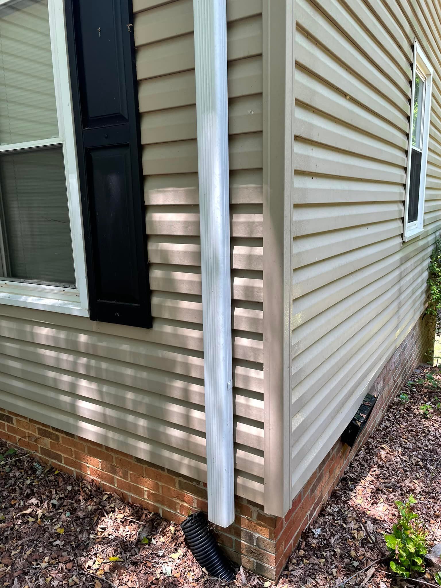 Pest control Service, Pest Control Company, Local Pest Control, Best Pest Control Service, Environmentally Friendly Pest Control, Eco-Friendly Pest Control, Pet Safe Pest Services, Kid Safe Pest Services, Emergency Pest Control, Indoor Pest Control, Integrated Pest Management, Home Pest Control Service, General Pest Inspection, Residential Pest Control, Commercial Pest Control, Hotel Pest Control, Restaurant Pest Control, Office Pest Control, Ant Extermination, Ant Pest Control, Bed Bug Extermination, Bed Bug Pest Control, Bee Extermination, Bee Pest Control, Carpet Beetle Extermination, Carpet Beetle Pest Control,Cockroach Extermination , Cockroach Pest Control, Cricket Extermination, Cricket Pest Control, Flea & Mite Extermination, Flea & Mite Pest Control, Hornet & Wasp Extermination, Hornet & wasp Pest Control, Mosquito Extermination, Mosquito Pest Control, Rodent Extermination, Rodent Pest Control, Rat Extermination, Rat pest Control, Silverfish Extermination, Silverfish Pest Control, Spider Extermination, Spider Pest Control, Termite Extermination, Termite Pest Control, Termite Moisture Control, Termite Remediation, Termite Inspection for Home Sales, Union County SC, Union SC, Jonesville SC, Spartanburg County SC, Spartanburg SC, Converse Heights Spartanburg SC, Greer SC, Greenville County, Greenville SC, Fountain Inn SC, Simpsonville SC, Pickens County SC, Easley SC, Cherokee County SC, Gaffney SC, East Gaffney SC, Greenwood County, Greenwood SC, Anderson County SC, Anderson SC