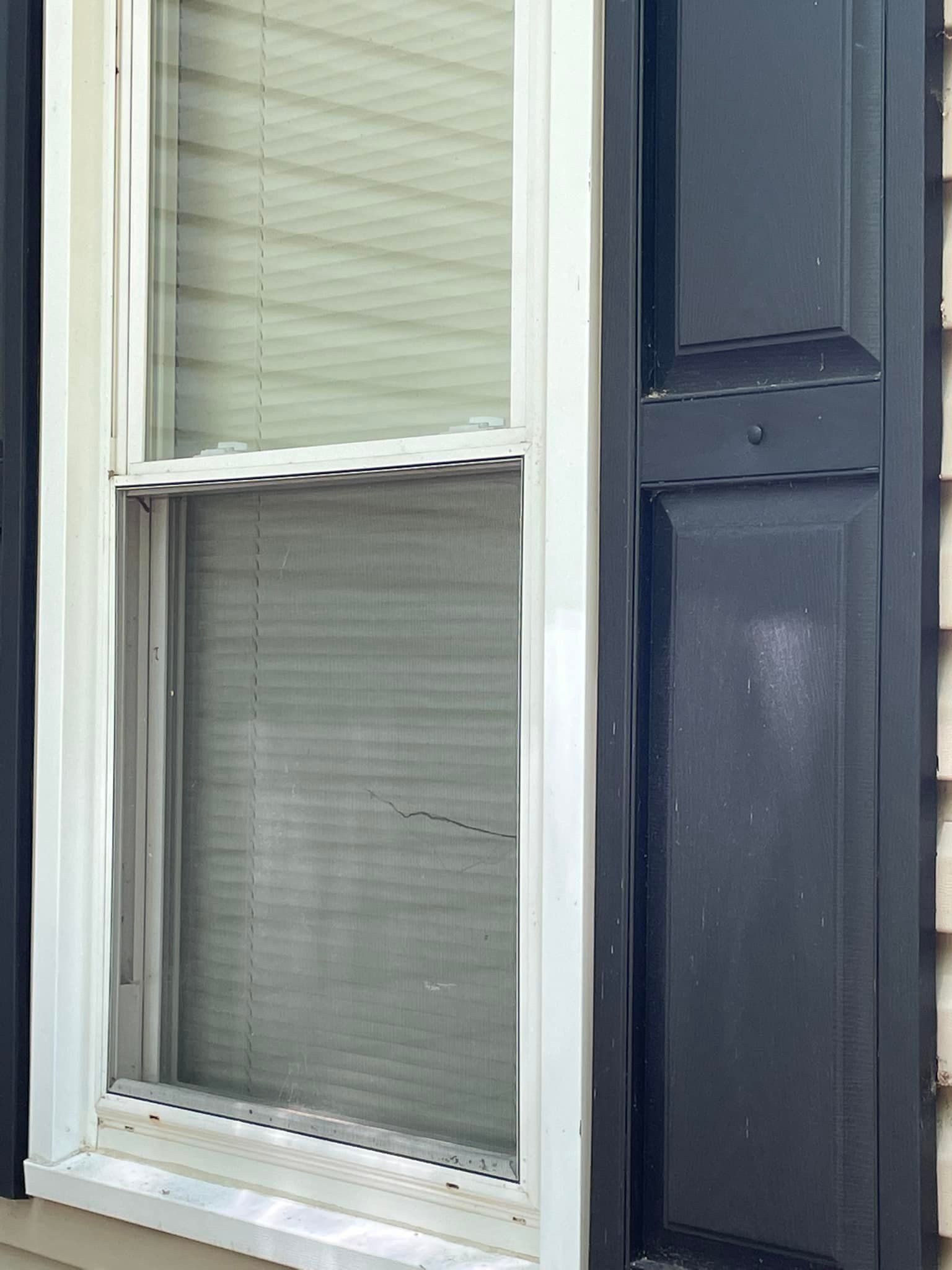 Pest control Service, Pest Control Company, Local Pest Control, Best Pest Control Service, Environmentally Friendly Pest Control, Eco-Friendly Pest Control, Pet Safe Pest Services, Kid Safe Pest Services, Emergency Pest Control, Indoor Pest Control, Integrated Pest Management, Home Pest Control Service, General Pest Inspection, Residential Pest Control, Commercial Pest Control, Hotel Pest Control, Restaurant Pest Control, Office Pest Control, Ant Extermination, Ant Pest Control, Bed Bug Extermination, Bed Bug Pest Control, Bee Extermination, Bee Pest Control, Carpet Beetle Extermination, Carpet Beetle Pest Control,Cockroach Extermination , Cockroach Pest Control, Cricket Extermination, Cricket Pest Control, Flea & Mite Extermination, Flea & Mite Pest Control, Hornet & Wasp Extermination, Hornet & wasp Pest Control, Mosquito Extermination, Mosquito Pest Control, Rodent Extermination, Rodent Pest Control, Rat Extermination, Rat pest Control, Silverfish Extermination, Silverfish Pest Control, Spider Extermination, Spider Pest Control, Termite Extermination, Termite Pest Control, Termite Moisture Control, Termite Remediation, Termite Inspection for Home Sales, Union County SC, Union SC, Jonesville SC, Spartanburg County SC, Spartanburg SC, Converse Heights Spartanburg SC, Greer SC, Greenville County, Greenville SC, Fountain Inn SC, Simpsonville SC, Pickens County SC, Easley SC, Cherokee County SC, Gaffney SC, East Gaffney SC, Greenwood County, Greenwood SC, Anderson County SC, Anderson SC