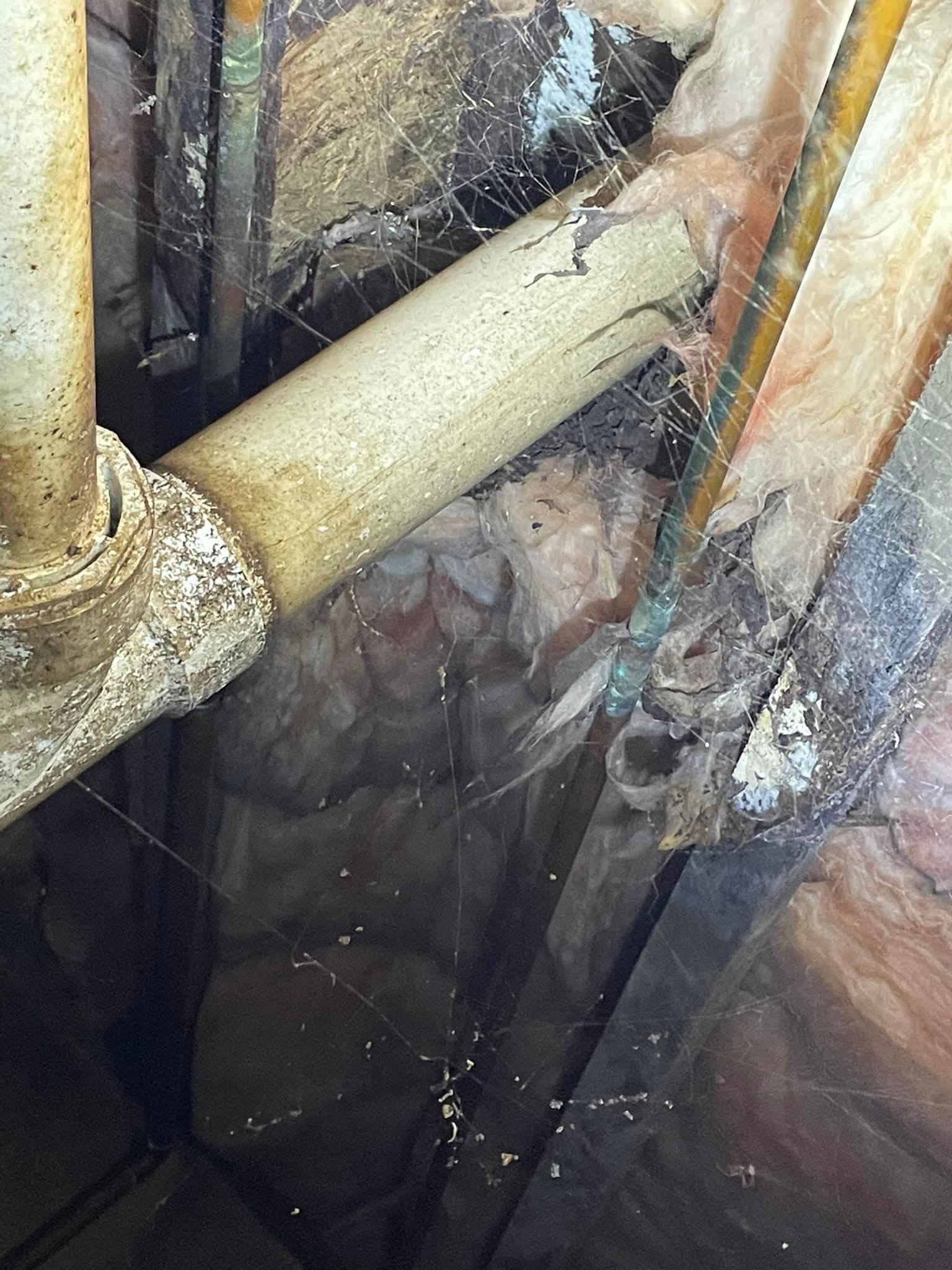 Pest control Service, Pest Control Company, Local Pest Control, Best Pest Control Service, Environmentally Friendly Pest Control, Eco-Friendly Pest Control, Pet Safe Pest Services, Kid Safe Pest Services, Emergency Pest Control, Indoor Pest Control, Integrated Pest Management, Home Pest Control Service, General Pest Inspection, Residential Pest Control, Commercial Pest Control, Hotel Pest Control, Restaurant Pest Control, Office Pest Control, Ant Extermination, Ant Pest Control, Bed Bug Extermination, Bed Bug Pest Control, Bee Extermination, Bee Pest Control, Carpet Beetle Extermination, Carpet Beetle Pest Control,Cockroach Extermination , Cockroach Pest Control, Cricket Extermination, Cricket Pest Control, Flea & Mite Extermination, Flea & Mite Pest Control, Hornet & Wasp Extermination, Hornet & wasp Pest Control, Mosquito Extermination, Mosquito Pest Control, Rodent Extermination, Rodent Pest Control, Rat Extermination, Rat pest Control, Silverfish Extermination, Silverfish Pest Control, Spider Extermination, Spider Pest Control, Termite Extermination, Termite Pest Control, Termite Moisture Control, Termite Remediation, Termite Inspection for Home Sales, Union County SC, Union SC, Jonesville SC, Spartanburg County SC, Spartanburg SC, Converse Heights Spartanburg SC, Greer SC, Greenville County, Greenville SC, Fountain Inn SC, Simpsonville SC, Pickens County SC, Easley SC, Cherokee County SC, Gaffney SC, East Gaffney SC, Greenwood County, Greenwood SC, Anderson County SC, Anderson SC