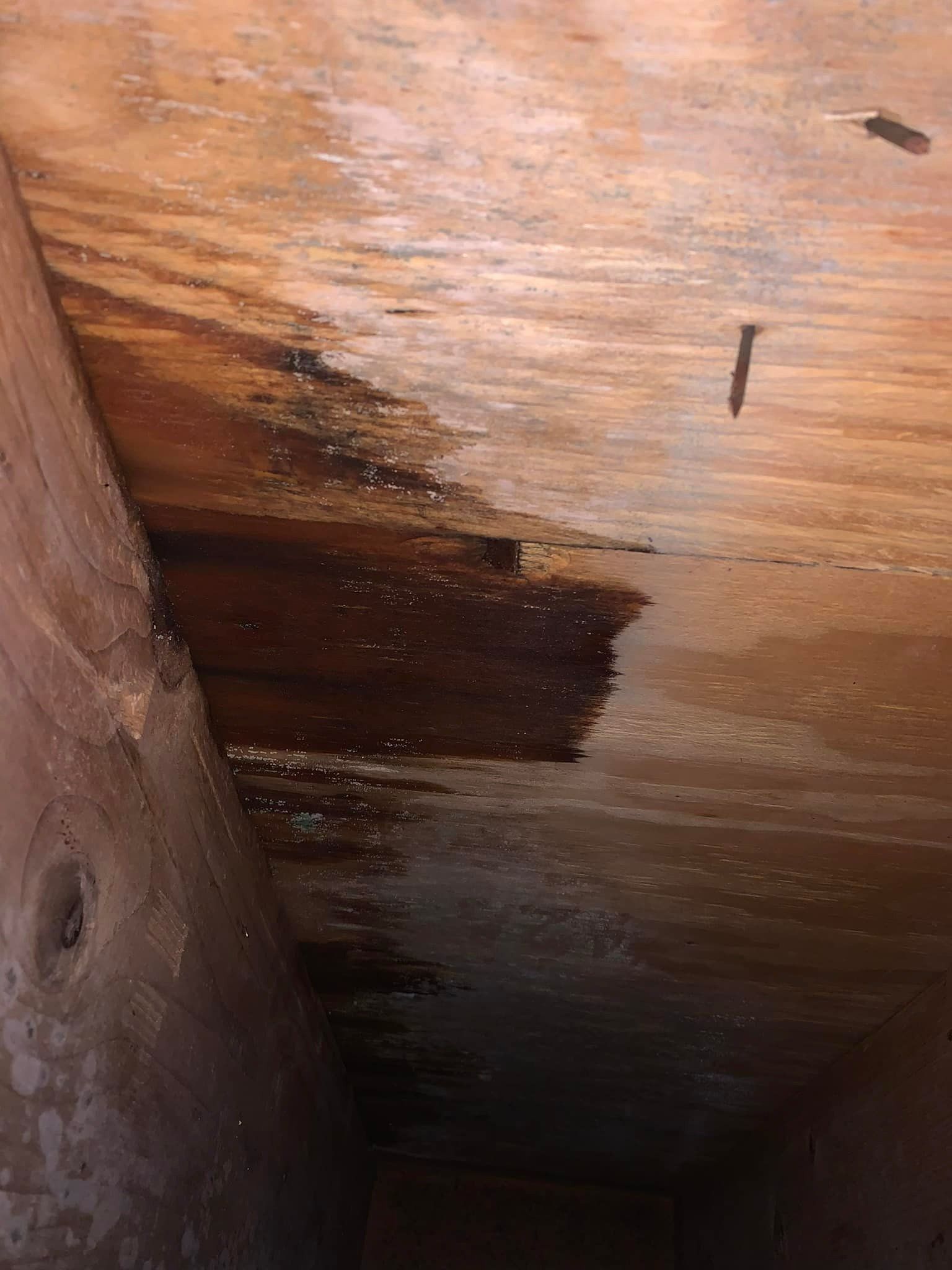 Pest control Service, Pest Control Company, Local Pest Control, Best Pest Control Service, Environmentally Friendly Pest Control, Eco-Friendly Pest Control, Pet Safe Pest Services, Kid Safe Pest Services, Emergency Pest Control, Indoor Pest Control, Integrated Pest Management, Home Pest Control Service, General Pest Inspection, Residential Pest Control, Commercial Pest Control, Hotel Pest Control, Restaurant Pest Control, Office Pest Control, Ant Extermination, Ant Pest Control, Bed Bug Extermination, Bed Bug Pest Control, Bee Extermination, Bee Pest Control, Carpet Beetle Extermination, Carpet Beetle Pest Control,Cockroach Extermination , Cockroach Pest Control, Cricket Extermination, Cricket Pest Control, Flea & Mite Extermination, Flea & Mite Pest Control, Hornet & Wasp Extermination, Hornet & wasp Pest Control, Mosquito Extermination, Mosquito Pest Control, Rodent Extermination, Rodent Pest Control, Rat Extermination, Rat pest Control, Silverfish Extermination, Silverfish Pest Control, Spider Extermination, Spider Pest Control, Termite Extermination, Termite Pest Control, Termite Moisture Control, Termite Remediation, Termite Inspection for Home Sales, Union County SC, Union SC, Jonesville SC, Spartanburg County SC, Spartanburg SC, Converse Heights Spartanburg SC, Greer SC, Greenville County, Greenville SC, Fountain Inn SC, Simpsonville SC, Pickens County SC, Easley SC, Cherokee County SC, Gaffney SC, East Gaffney SC, Greenwood County, Greenwood SC, Anderson County SC, Anderson SC