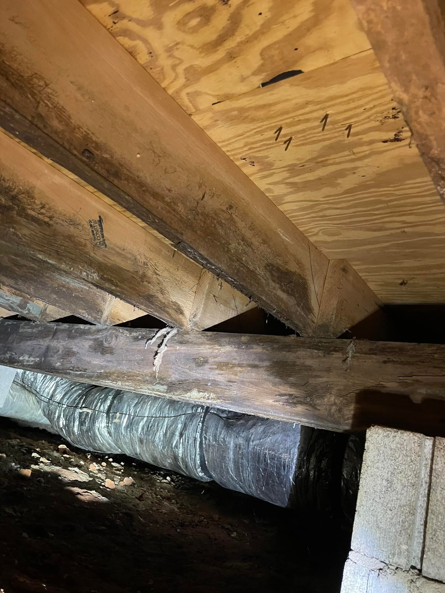 Pest control Service, Pest Control Company, Local Pest Control, Best Pest Control Service, Environmentally Friendly Pest Control, Eco-Friendly Pest Control, Pet Safe Pest Services, Kid Safe Pest Services, Emergency Pest Control, Indoor Pest Control, Integrated Pest Management, Home Pest Control Service, General Pest Inspection, Residential Pest Control, Commercial Pest Control, Hotel Pest Control, Restaurant Pest Control, Office Pest Control, Ant Extermination, Ant Pest Control, Bed Bug Extermination, Bed Bug Pest Control, Bee Extermination, Bee Pest Control, Carpet Beetle Extermination, Carpet Beetle Pest Control,Cockroach Extermination , Cockroach Pest Control, Cricket Extermination, Cricket Pest Control, Flea & Mite Extermination, Flea & Mite Pest Control, Hornet & Wasp Extermination, Hornet & wasp Pest Control, Mosquito Extermination, Mosquito Pest Control, Rodent Extermination, Rodent Pest Control, Rat Extermination, Rat pest Control, Silverfish Extermination, Silverfish Pest Control, Spider Extermination, Spider Pest Control, Termite Extermination, Termite Pest Control, Termite Moisture Control, Termite Remediation, Termite Inspection for Home Sales, Union County SC, Union SC, Jonesville SC, Spartanburg County SC, Spartanburg SC, Converse Heights Spartanburg SC, Greer SC, Greenville County, Greenville SC, Fountain Inn SC, Simpsonville SC, Pickens County SC, Easley SC, Cherokee County SC, Gaffney SC, East Gaffney SC, Greenwood County, Greenwood SC, Anderson County SC, Anderson SC