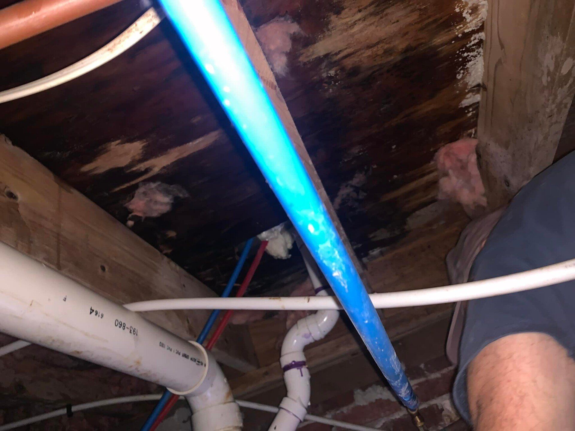 Pest control Service, Pest Control Company, Local Pest Control, Best Pest Control Service, Environmentally Friendly Pest Control, Eco-Friendly Pest Control, Pet Safe Pest Services, Kid Safe Pest Services, Emergency Pest Control, Indoor Pest Control, Integrated Pest Management, Home Pest Control Service, General Pest Inspection, Residential Pest Control, Commercial Pest Control, Hotel Pest Control, Restaurant Pest Control, Office Pest Control, Ant Extermination, Ant Pest Control, Bed Bug Extermination, Bed Bug Pest Control, Bee Extermination, Bee Pest Control, Carpet Beetle Extermination, Carpet Beetle Pest Control,Cockroach Extermination , Cockroach Pest Control, Cricket Extermination, Cricket Pest Control, Flea & Mite Extermination, Flea & Mite Pest Control, Hornet & Wasp Extermination, Hornet & wasp Pest Control, Mosquito Extermination, Mosquito Pest Control, Rodent Extermination, Rodent Pest Control, Rat Extermination, Rat pest Control, Silverfish Extermination, Silverfish Pest Control, Spider Extermination, Spider Pest Control, Termite Extermination, Termite Pest Control, Termite Moisture Control, Termite Remediation, Termite Inspection for Home Sales, Union County SC, Union SC, Jonesville SC, Spartanburg County SC, Spartanburg SC, Converse Heights Spartanburg SC, Greer SC, Greenville County, Greenville SC, Fountain Inn SC, Simpsonville SC, Pickens County SC, Easley SC, Cherokee County SC, Gaffney SC, East Gaffney SC, Greenwood County, Greenwood SC, Anderson County SC, Anderson SC