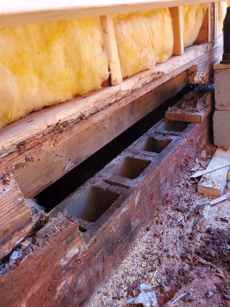 Pest control Service, Pest Control Company, Local Pest Control, Best Pest Control Service, Environmentally Friendly Pest Control, Eco-Friendly Pest Control, Pet Safe Pest Services, Kid Safe Pest Services, Emergency Pest Control, Indoor Pest Control, Integrated Pest Management, Home Pest Control Service, General Pest Inspection, Residential Pest Control, Commercial Pest Control, Hotel Pest Control, Restaurant Pest Control, Office Pest Control, Ant Extermination, Ant Pest Control, Bed Bug Extermination, Bed Bug Pest Control, Bee Extermination, Bee Pest Control, Carpet Beetle Extermination, Carpet Beetle Pest Control,Cockroach Extermination , Cockroach Pest Control, Cricket Extermination, Cricket Pest Control, Flea & Mite Extermination, Flea & Mite Pest Control, Hornet & Wasp Extermination, Hornet & wasp Pest Control, Mosquito Extermination, Mosquito Pest Control, Rodent Extermination, Rodent Pest Control, Rat Extermination, Rat pest Control, Silverfish Extermination, Silverfish Pest Control, Spider Extermination, Spider Pest Control, Termite Extermination, Termite Pest Control, Termite Moisture Control, Termite Remediation, Termite Inspection for Home Sales, Union County SC, Union SC, Jonesville SC, Spartanburg County SC, Spartanburg SC, Converse Heights Spartanburg SC, Greer SC, Greenville County, Greenville SC, Fountain Inn SC, Simpsonville SC, Pickens County SC, Easley SC, Cherokee County SC, Gaffney SC, East Gaffney SC, Greenwood County, Greenwood SC, Anderson County SC, Anderson SC