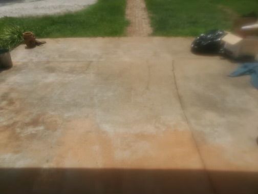 Pest control Service, Pest Control Company, Local Pest Control, Best Pest Control Service, Environmentally Friendly Pest Control, Eco-Friendly Pest Control, Pet Safe Pest Services, Kid Safe Pest Services, Emergency Pest Control, Indoor Pest Control, Integrated Pest Management, Home Pest Control Service, General Pest Inspection, Residential Pest Control, Commercial Pest Control, Hotel Pest Control, Restaurant Pest Control, Office Pest Control, Ant Extermination, Ant Pest Control, Bed Bug Extermination, Bed Bug Pest Control, Bee Extermination, Bee Pest Control, Carpet Beetle Extermination, Carpet Beetle Pest Control,Cockroach Extermination , Cockroach Pest Control, Cricket Extermination, Cricket Pest Control, Flea & Mite Extermination, Flea & Mite Pest Control, Hornet & Wasp Extermination, Hornet & wasp Pest Control, Mosquito Extermination, Mosquito Pest Control, Rodent Extermination, Rodent Pest Control, Rat Extermination, Rat pest Control, Silverfish Extermination, Silverfish Pest Control, Spider Extermination, Spider Pest Control, Termite Extermination, Termite Pest Control, Termite Moisture Control, Termite Remediation, Termite Inspection for Home Sales, Union County SC, Union SC, Jonesville SC, Spartanburg County SC, Spartanburg SC, Converse Heights Spartanburg SC, Greer SC, Greenville County, Greenville SC, Fountain Inn SC, Simpsonville SC, Pickens County SC, Easley SC, Cherokee County SC, Gaffney SC, East Gaffney SC, Greenwood County, Greenwood SC, Anderson County SC, Anderson SC