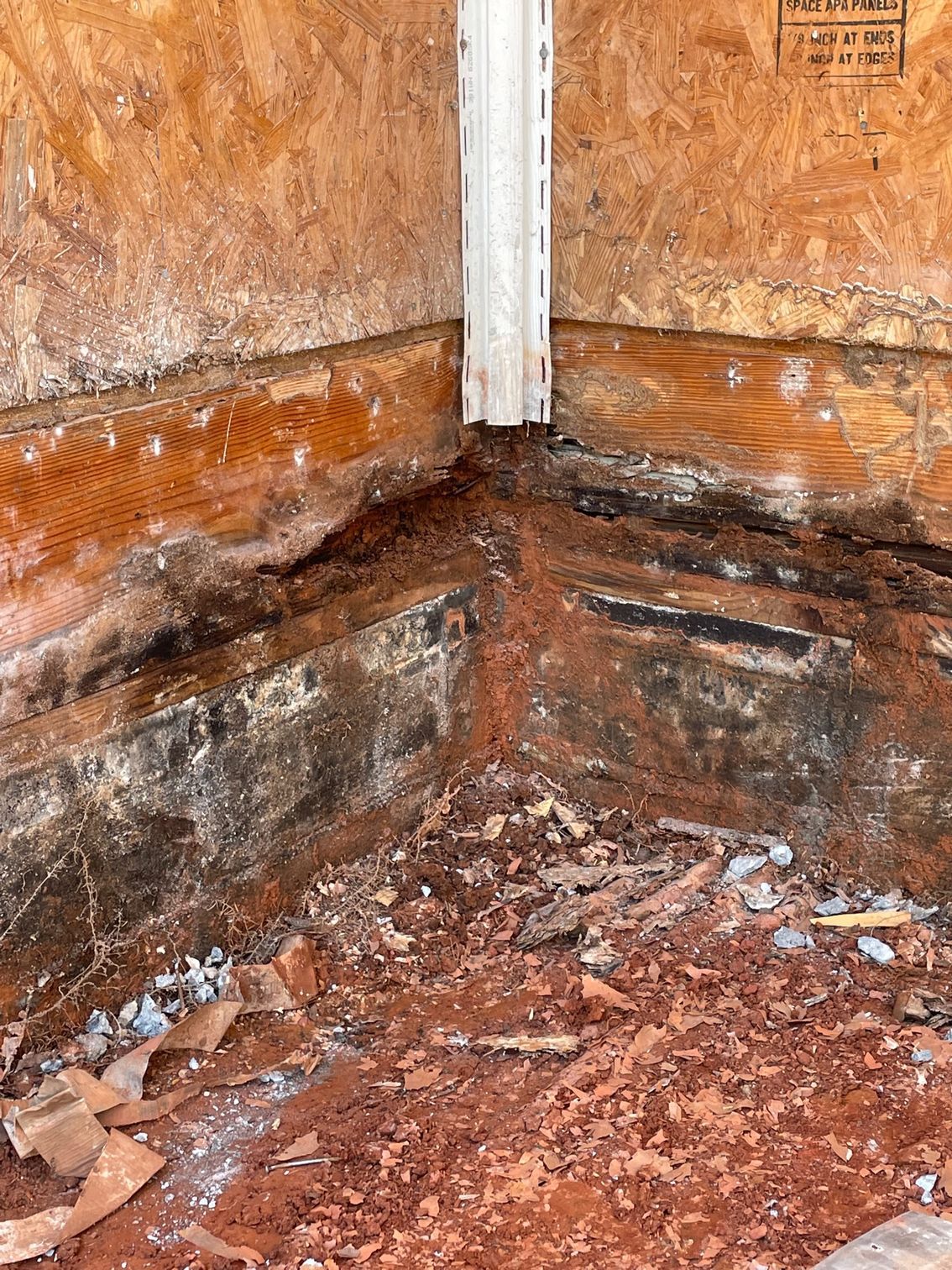 Pest control Service, Pest Control Company, Local Pest Control, Best Pest Control Service, Environmentally Friendly Pest Control, Eco-Friendly Pest Control, Pet Safe Pest Services, Kid Safe Pest Services, Emergency Pest Control, Indoor Pest Control, Integrated Pest Management, Home Pest Control Service, General Pest Inspection, Residential Pest Control, Commercial Pest Control, Hotel Pest Control, Restaurant Pest Control, Office Pest Control, Ant Extermination, Ant Pest Control, Bed Bug Extermination, Bed Bug Pest Control, Bee Extermination, Bee Pest Control, Carpet Beetle Extermination, Carpet Beetle Pest Control,Cockroach Extermination , Cockroach Pest Control, Cricket Extermination, Cricket Pest Control, Flea & Mite Extermination, Flea & Mite Pest Control, Hornet & Wasp Extermination, Hornet & wasp Pest Control, Mosquito Extermination, Mosquito Pest Control, Rodent Extermination, Rodent Pest Control, Rat Extermination, Rat pest Control, Silverfish Extermination, Silverfish Pest Control, Spider Extermination, Spider Pest Control, Termite Extermination, Termite Pest Control, Termite Moisture Control, Termite Remediation, Termite Inspection for Home Sales, Union County SC, Union SC, Jonesville SC, Spartanburg County SC, Spartanburg SC, Converse Heights Spartanburg SC, Greer SC, Greenville County, Greenville SC, Fountain Inn SC, Simpsonville SC, Pickens County SC, Easley SC, Cherokee County SC, Gaffney SC, East Gaffney SC, Greenwood County, Greenwood SC, Anderson County SC, Anderson SC