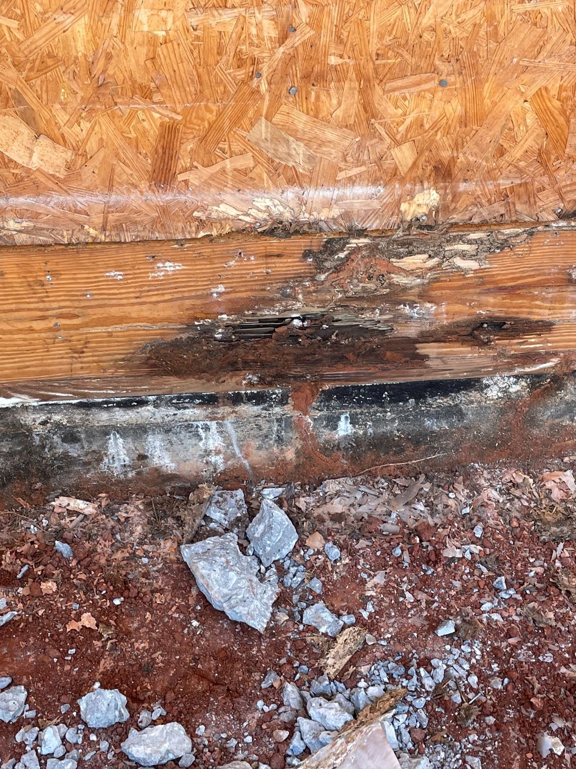 Pest control Service, Pest Control Company, Local Pest Control, Best Pest Control Service, Environmentally Friendly Pest Control, Eco-Friendly Pest Control, Pet Safe Pest Services, Kid Safe Pest Services, Emergency Pest Control, Indoor Pest Control, Integrated Pest Management, Home Pest Control Service, General Pest Inspection, Residential Pest Control, Commercial Pest Control, Hotel Pest Control, Restaurant Pest Control, Office Pest Control, Ant Extermination, Ant Pest Control, Bed Bug Extermination, Bed Bug Pest Control, Bee Extermination, Bee Pest Control, Carpet Beetle Extermination, Carpet Beetle Pest Control,Cockroach Extermination , Cockroach Pest Control, Cricket Extermination, Cricket Pest Control, Flea & Mite Extermination, Flea & Mite Pest Control, Hornet & Wasp Extermination, Hornet & wasp Pest Control, Mosquito Extermination, Mosquito Pest Control, Rodent Extermination, Rodent Pest Control, Rat Extermination, Rat pest Control, Silverfish Extermination, Silverfish Pest Control, Spider Extermination, Spider Pest Control, Termite Extermination, Termite Pest Control, Termite Moisture Control, Termite Remediation, Termite Inspection for Home Sales, Union County SC, Union SC, Jonesville SC, Spartanburg County SC, Spartanburg SC, Converse Heights Spartanburg SC, Greer SC, Greenville County, Greenville SC, Fountain Inn SC, Simpsonville SC, Pickens County SC, Easley SC, Cherokee County SC, Gaffney SC, East Gaffney SC, Greenwood County, Greenwood SC, Anderson County SC, Anderson SC