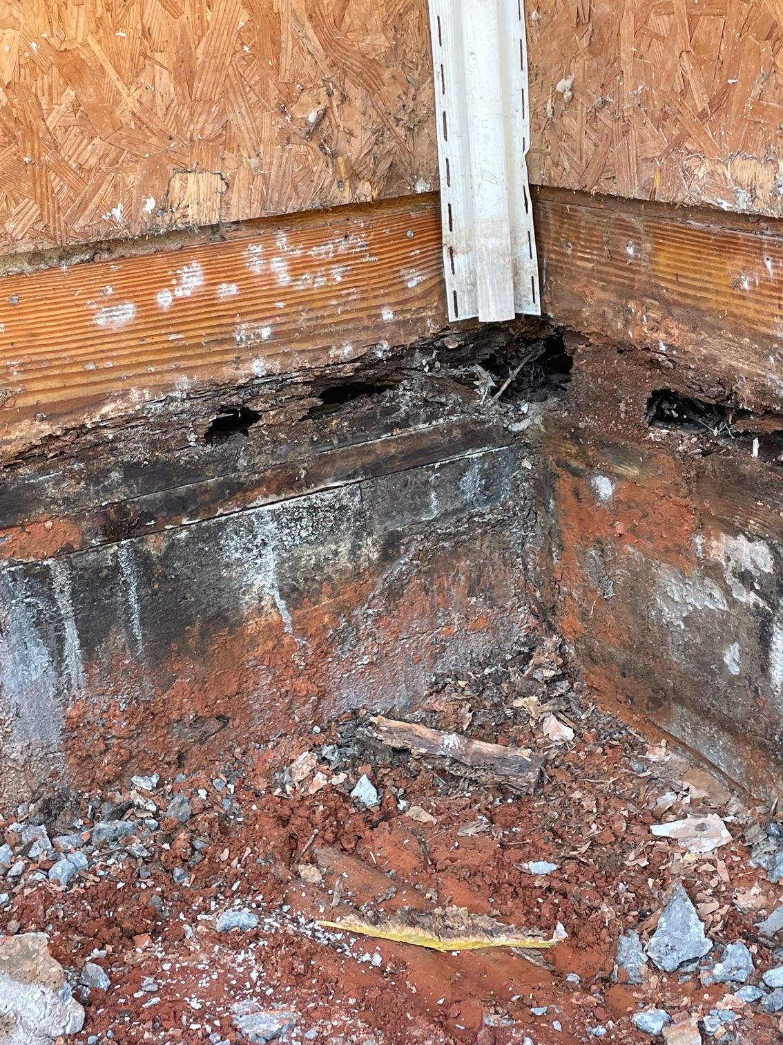 Pest control Service, Pest Control Company, Local Pest Control, Best Pest Control Service, Environmentally Friendly Pest Control, Eco-Friendly Pest Control, Pet Safe Pest Services, Kid Safe Pest Services, Emergency Pest Control, Indoor Pest Control, Integrated Pest Management, Home Pest Control Service, General Pest Inspection, Residential Pest Control, Commercial Pest Control, Hotel Pest Control, Restaurant Pest Control, Office Pest Control, Ant Extermination, Ant Pest Control, Bed Bug Extermination, Bed Bug Pest Control, Bee Extermination, Bee Pest Control, Carpet Beetle Extermination, Carpet Beetle Pest Control,Cockroach Extermination , Cockroach Pest Control, Cricket Extermination, Cricket Pest Control, Flea & Mite Extermination, Flea & Mite Pest Control, Hornet & Wasp Extermination, Hornet & wasp Pest Control, Mosquito Extermination, Mosquito Pest Control, Rodent Extermination, Rodent Pest Control, Rat Extermination, Rat pest Control, Silverfish Extermination, Silverfish Pest Control, Spider Extermination, Spider Pest Control, Termite Extermination, Termite Pest Control, Termite Moisture Control, Termite Remediation, Termite Inspection for Home Sales, Union County SC, Union SC, Jonesville SC, Spartanburg County SC, Spartanburg SC, Converse Heights Spartanburg SC, Greer SC, Greenville County, Greenville SC, Fountain Inn SC, Simpsonville SC, Pickens County SC, Easley SC, Cherokee County SC, Gaffney SC, East Gaffney SC, Greenwood County, Greenwood SC, Anderson County SC, Anderson SC