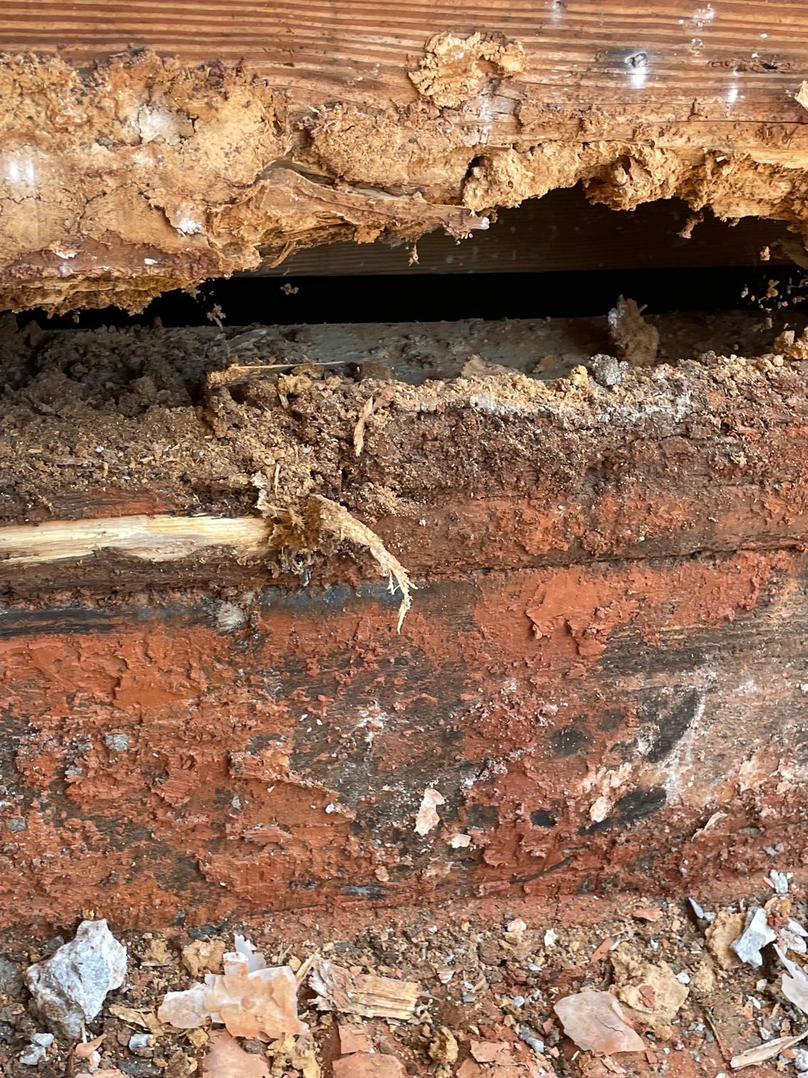 Pest control Service, Pest Control Company, Local Pest Control, Best Pest Control Service, Environmentally Friendly Pest Control, Eco-Friendly Pest Control, Pet Safe Pest Services, Kid Safe Pest Services, Emergency Pest Control, Indoor Pest Control, Integrated Pest Management, Home Pest Control Service, General Pest Inspection, Residential Pest Control, Commercial Pest Control, Hotel Pest Control, Restaurant Pest Control, Office Pest Control, Ant Extermination, Ant Pest Control, Bed Bug Extermination, Bed Bug Pest Control, Bee Extermination, Bee Pest Control, Carpet Beetle Extermination, Carpet Beetle Pest Control,Cockroach Extermination , Cockroach Pest Control, Cricket Extermination, Cricket Pest Control, Flea & Mite Extermination, Flea & Mite Pest Control, Hornet & Wasp Extermination, Hornet & wasp Pest Control, Mosquito Extermination, Mosquito Pest Control, Rodent Extermination, Rodent Pest Control, Rat Extermination, Rat pest Control, Silverfish Extermination, Silverfish Pest Control, Spider Extermination, Spider Pest Control, Termite Extermination, Termite Pest Control, Termite Moisture Control, Termite Remediation, Termite Inspection for Home Sales, Union County SC, Union SC, Jonesville SC, Spartanburg County SC, Spartanburg SC, Converse Heights Spartanburg SC, Greer SC, Greenville County, Greenville SC, Fountain Inn SC, Simpsonville SC, Pickens County SC, Easley SC, Cherokee County SC, Gaffney SC, East Gaffney SC, Greenwood County, Greenwood SC, Anderson County SC, Anderson SC