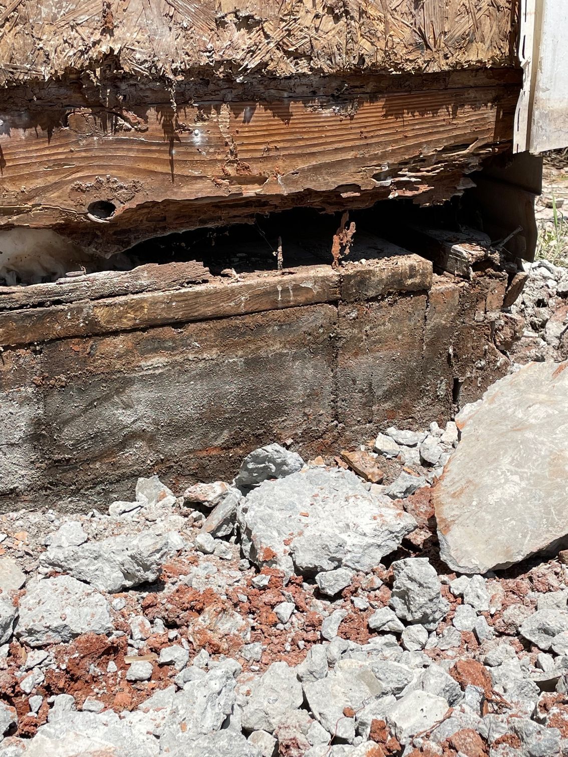 Pest control Service, Pest Control Company, Local Pest Control, Best Pest Control Service, Environmentally Friendly Pest Control, Eco-Friendly Pest Control, Pet Safe Pest Services, Kid Safe Pest Services, Emergency Pest Control, Indoor Pest Control, Integrated Pest Management, Home Pest Control Service, General Pest Inspection, Residential Pest Control, Commercial Pest Control, Hotel Pest Control, Restaurant Pest Control, Office Pest Control, Ant Extermination, Ant Pest Control, Bed Bug Extermination, Bed Bug Pest Control, Bee Extermination, Bee Pest Control, Carpet Beetle Extermination, Carpet Beetle Pest Control,Cockroach Extermination , Cockroach Pest Control, Cricket Extermination, Cricket Pest Control, Flea & Mite Extermination, Flea & Mite Pest Control, Hornet & Wasp Extermination, Hornet & wasp Pest Control, Mosquito Extermination, Mosquito Pest Control, Rodent Extermination, Rodent Pest Control, Rat Extermination, Rat pest Control, Silverfish Extermination, Silverfish Pest Control, Spider Extermination, Spider Pest Control, Termite Extermination, Termite Pest Control, Termite Moisture Control, Termite Remediation, Termite Inspection for Home Sales, Union County SC, Union SC, Jonesville SC, Spartanburg County SC, Spartanburg SC, Converse Heights Spartanburg SC, Greer SC, Greenville County, Greenville SC, Fountain Inn SC, Simpsonville SC, Pickens County SC, Easley SC, Cherokee County SC, Gaffney SC, East Gaffney SC, Greenwood County, Greenwood SC, Anderson County SC, Anderson SC